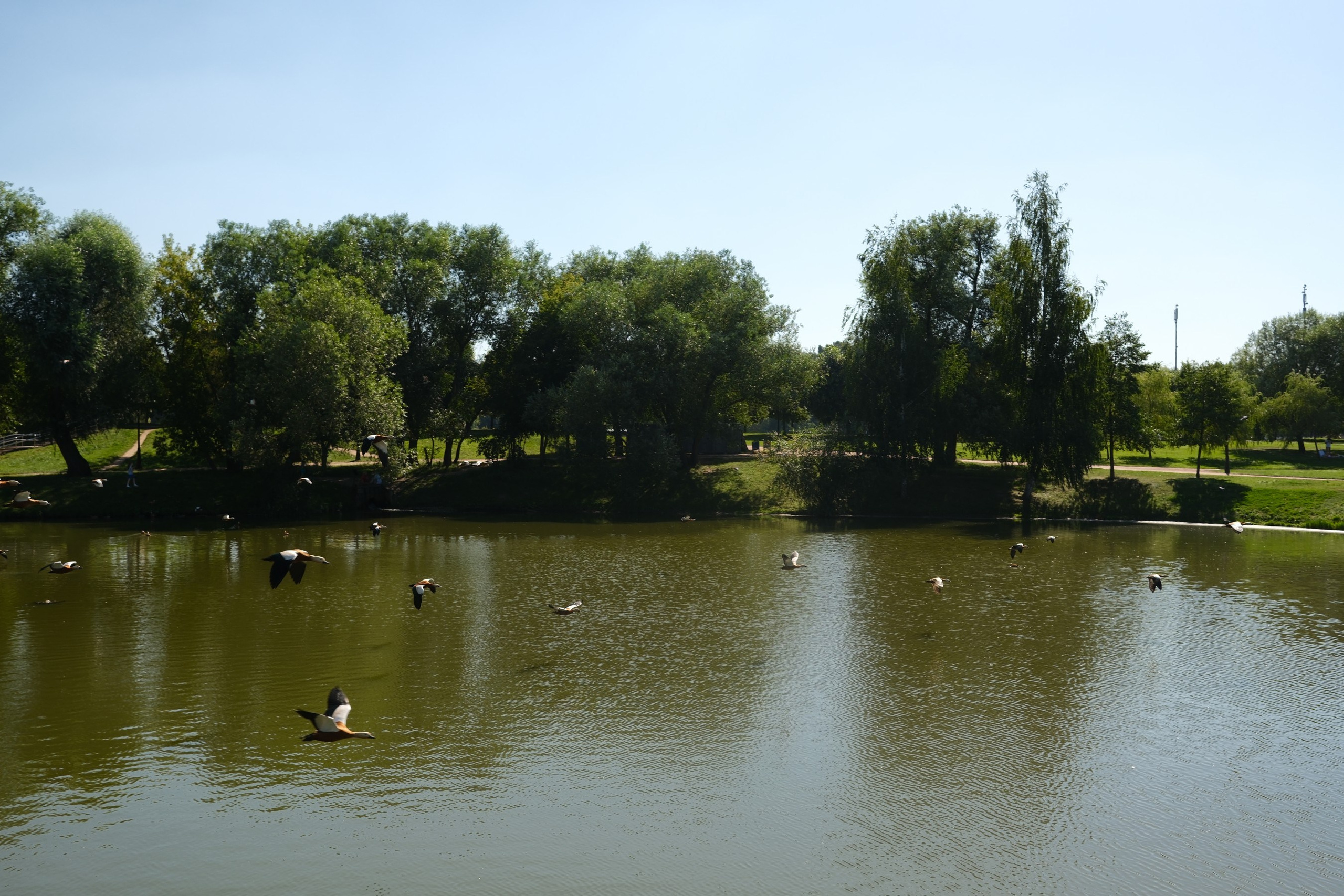 Осень 2023. Улица, люди, жизнь…