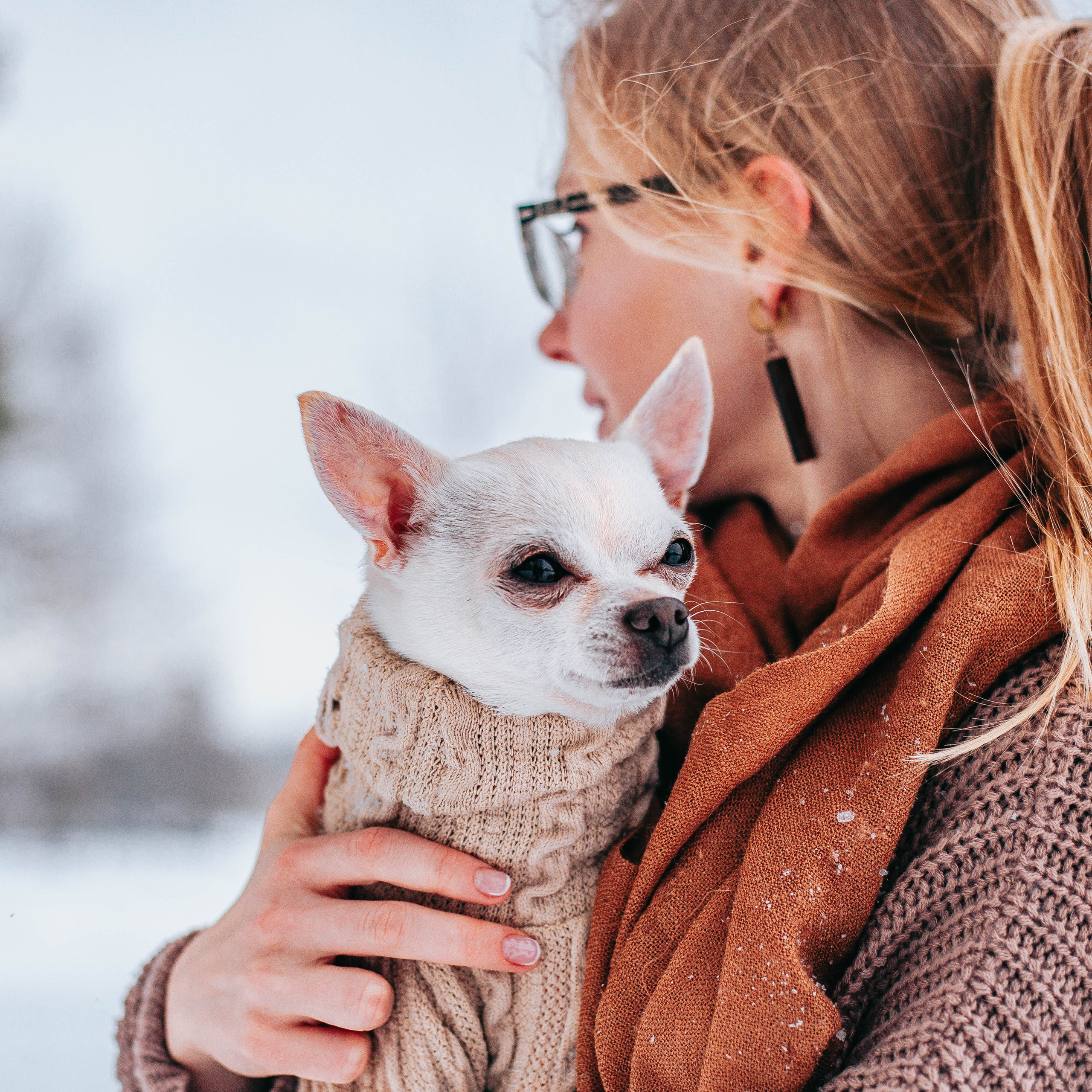 Хельга и Пёс. Главная