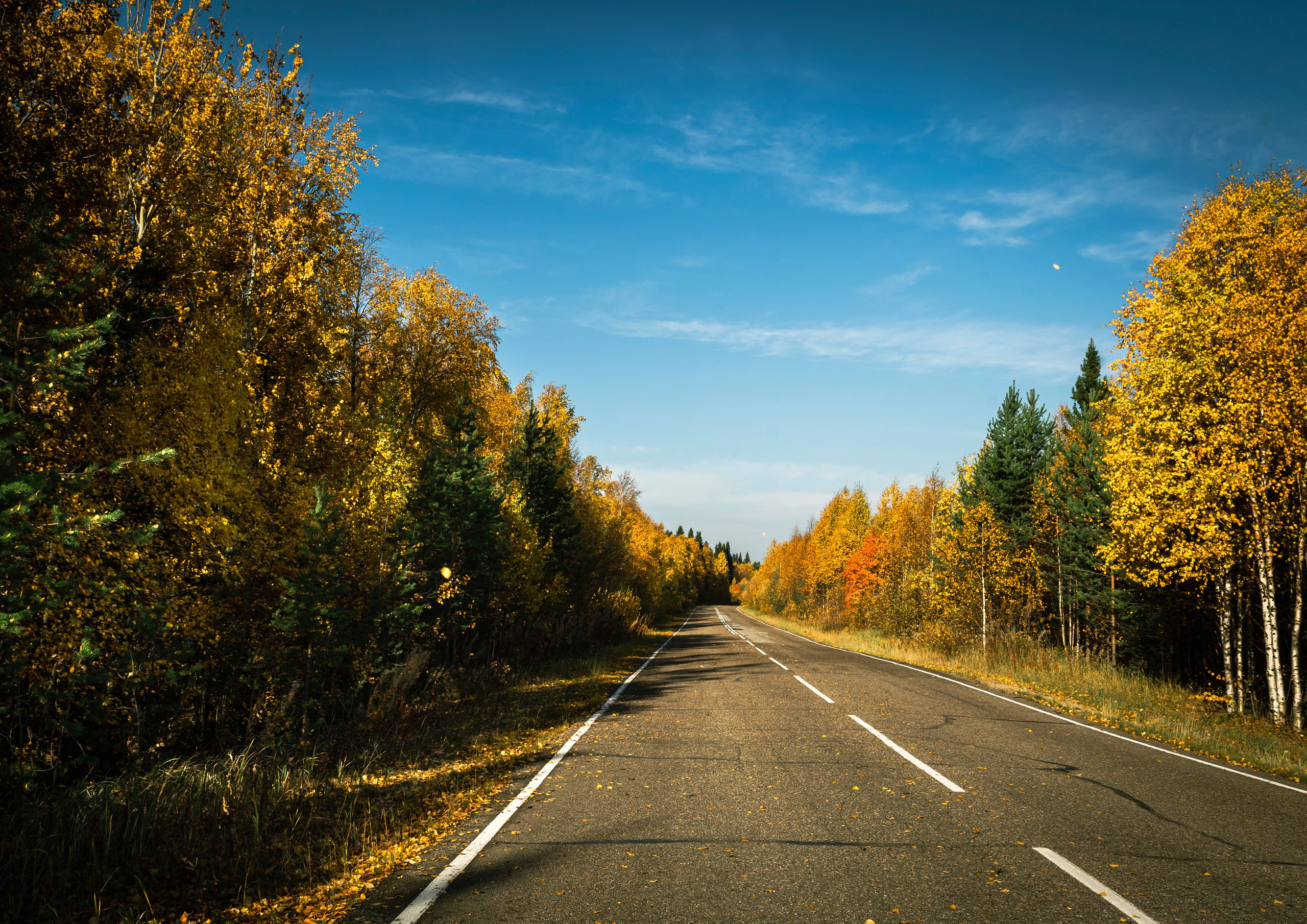 Осень. Фотограф в с. Ижма Республика Коми Терентьев Сергей