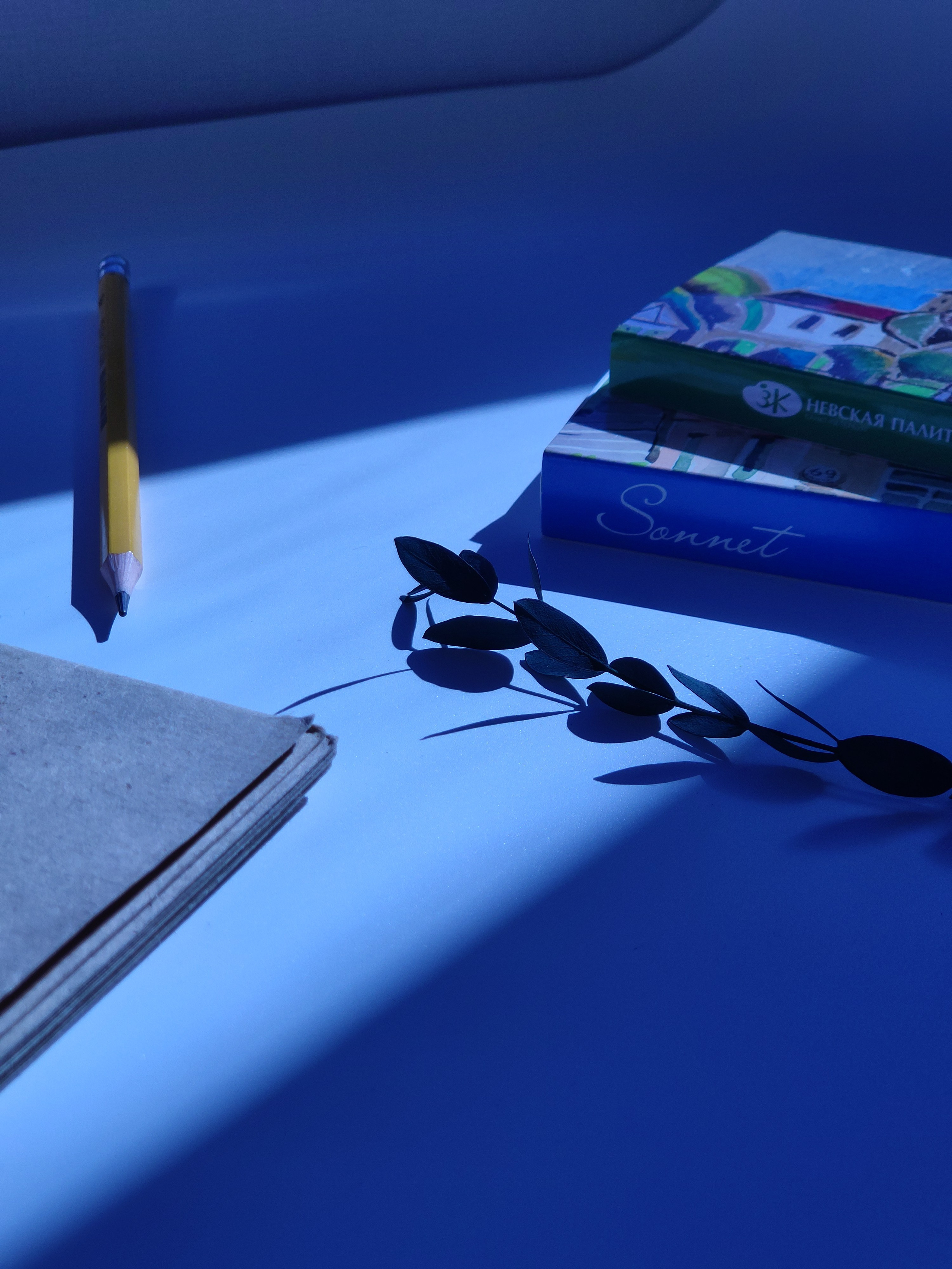 Предметная съемка. Фотограф в Санкт-Петербурге, Григорьева Светлана: от портрета до предметной съёмки