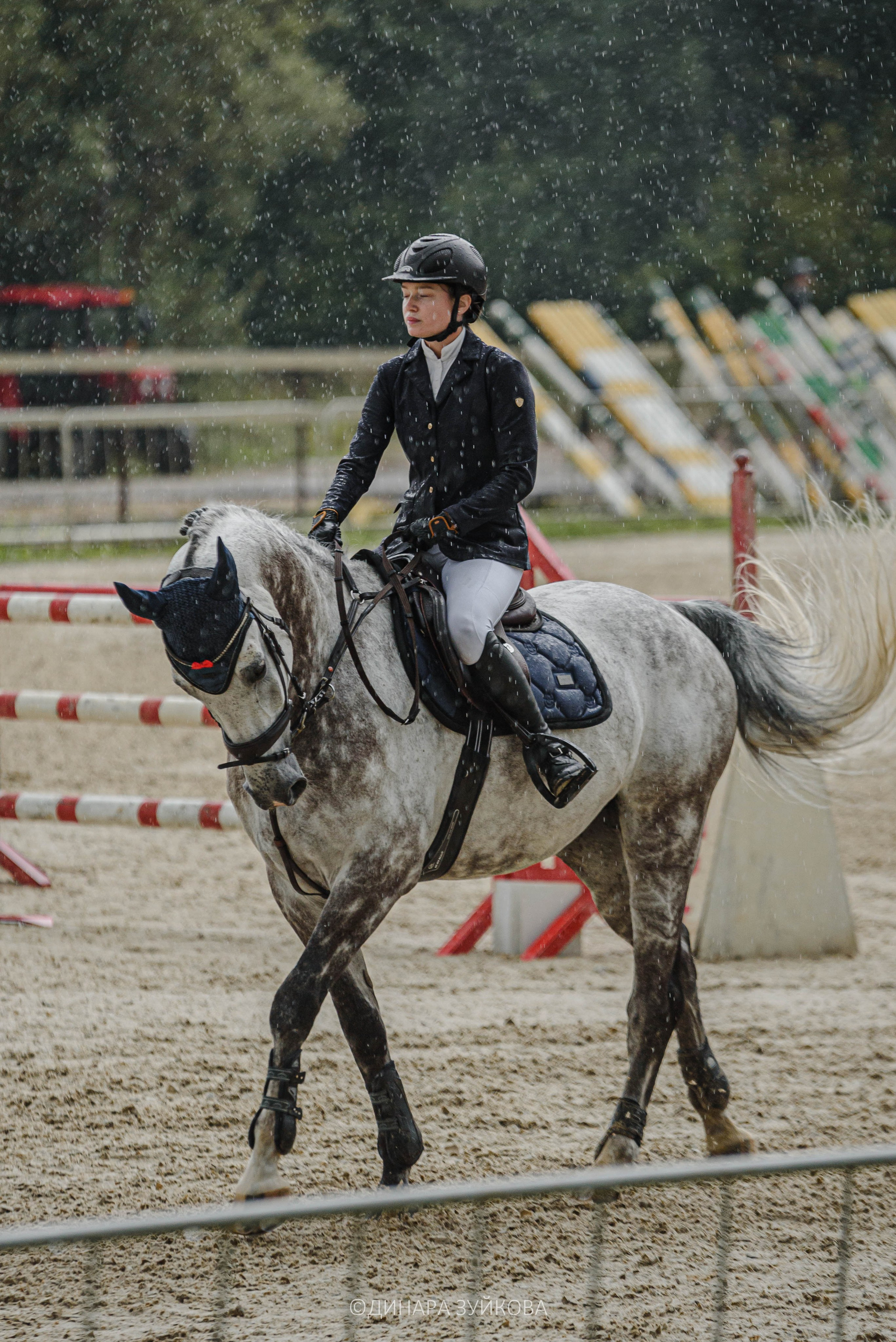 Конные соревнования в конкуру в Нижнем Новгороде
