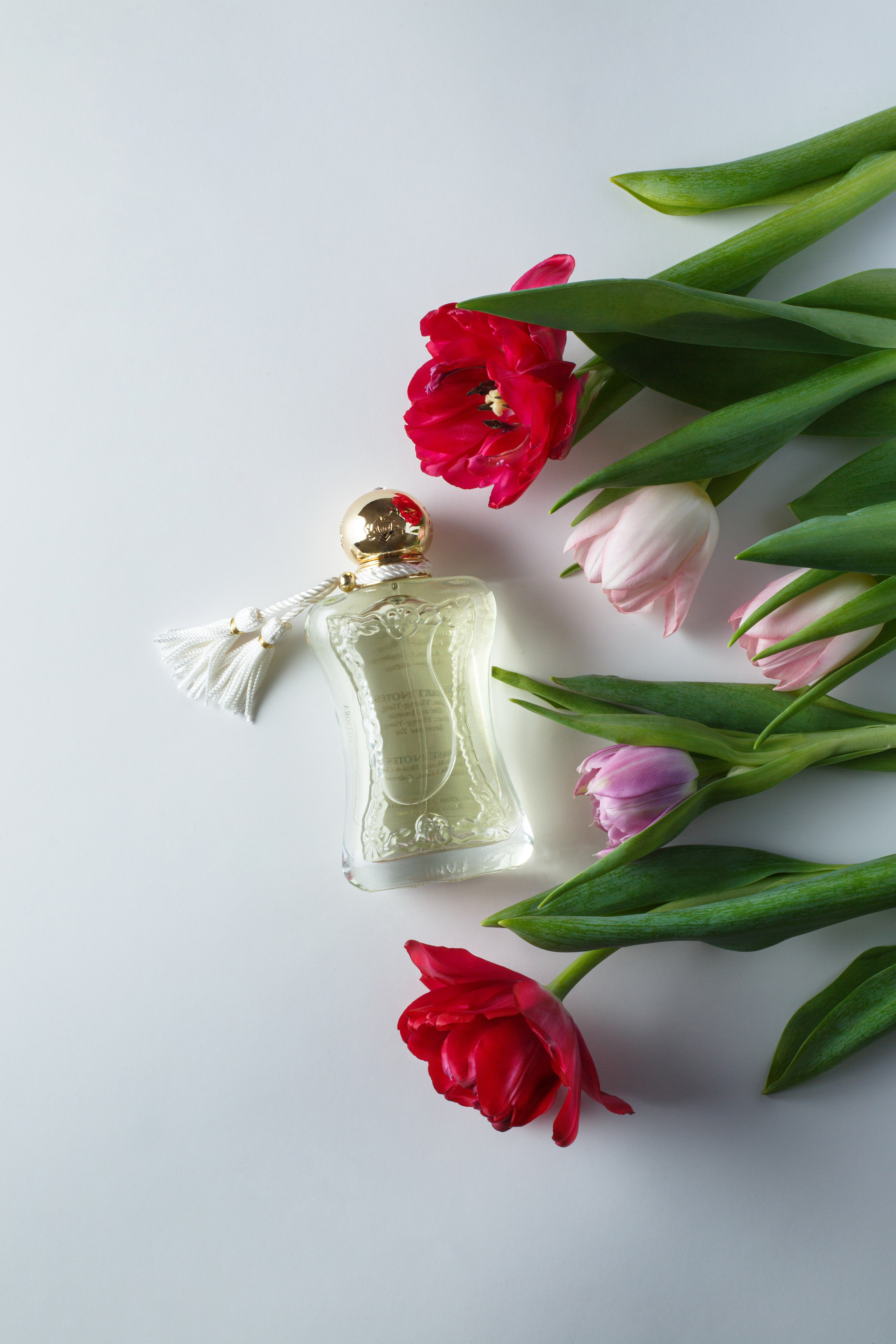 Художественная обработка парфюмов | Студия SVITHART