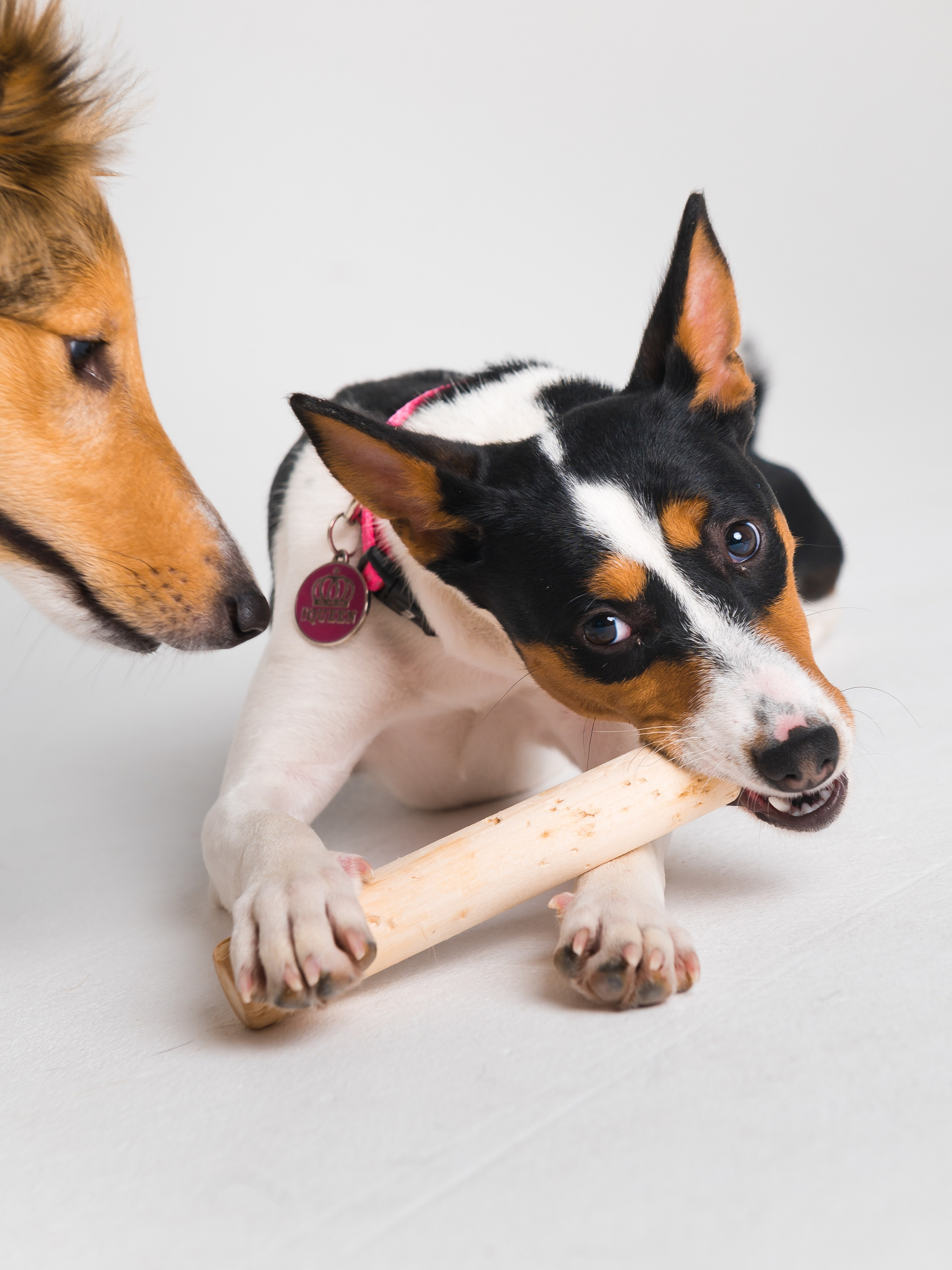 Съемка для WB и Ozon. Фотограф Егоров Констанин