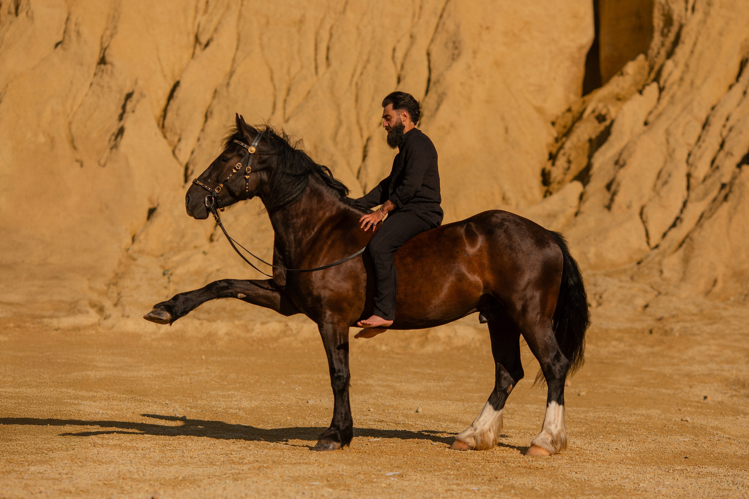Мужская фотосессия с лошадью