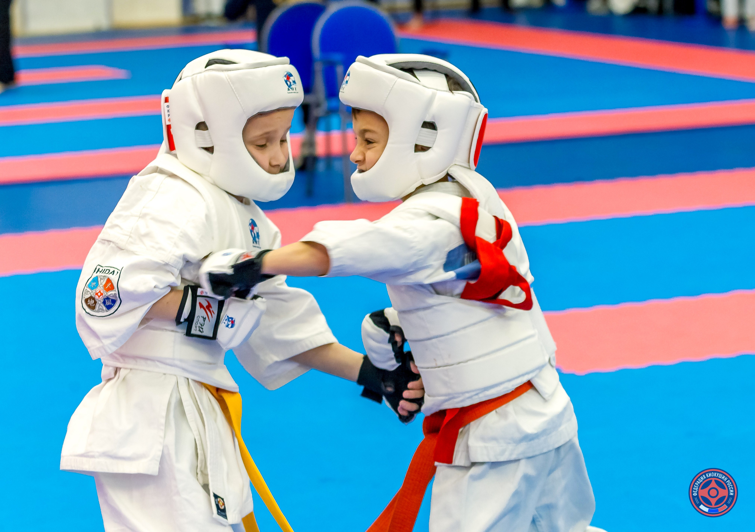 Международный турнир по киокушин «Открытый кубок Seiken». Репортажная съемка в Москве и области. Анималистика