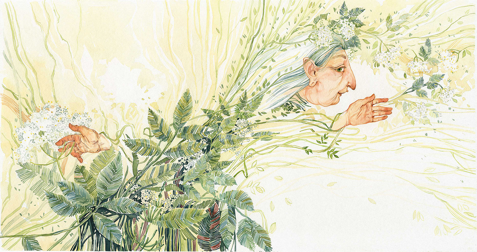 Г. Х. Андерсен «Бузинная матушка». Художник Анна Хопта