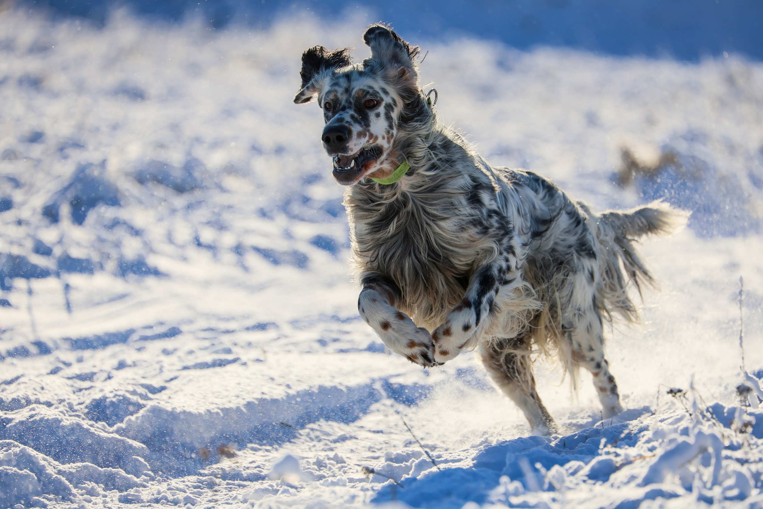 Lure Club 2025. Irenephoto.ru