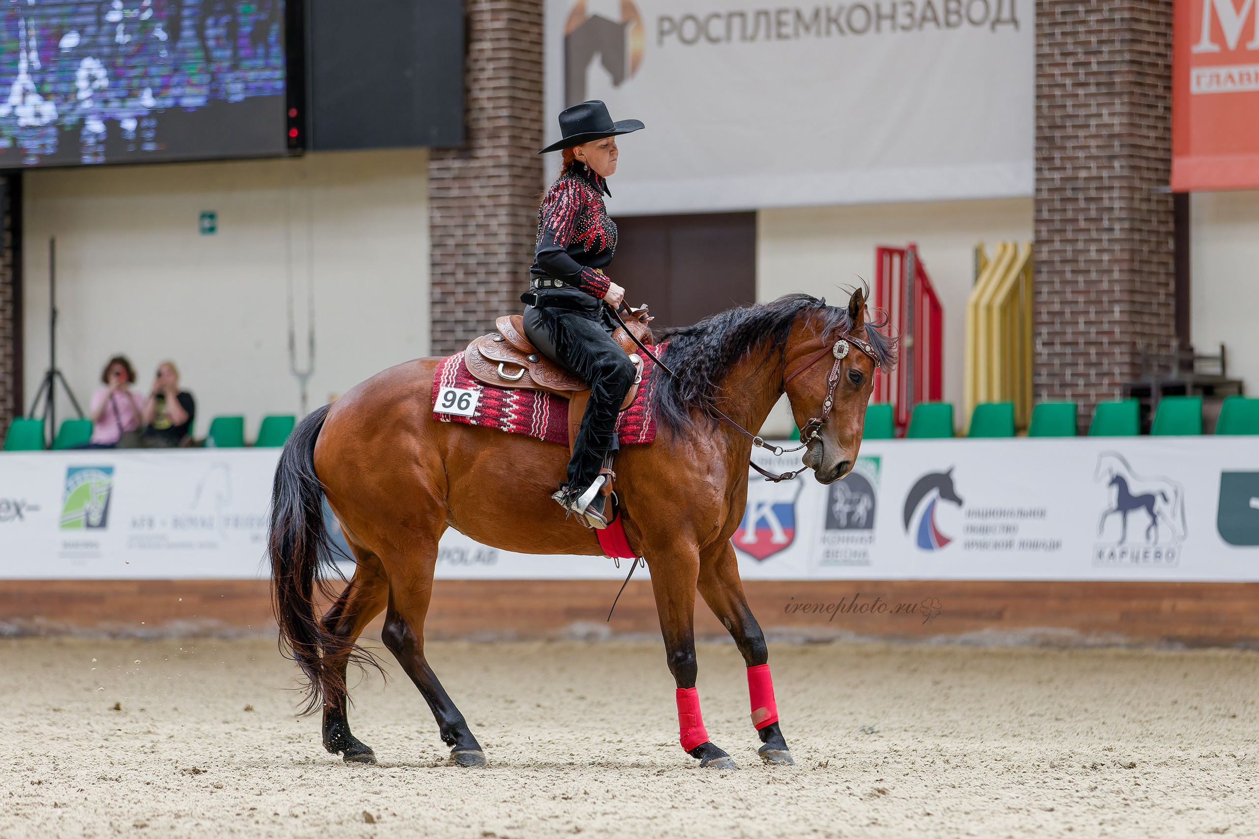 Конная Весна 2026. Irenephoto.ru