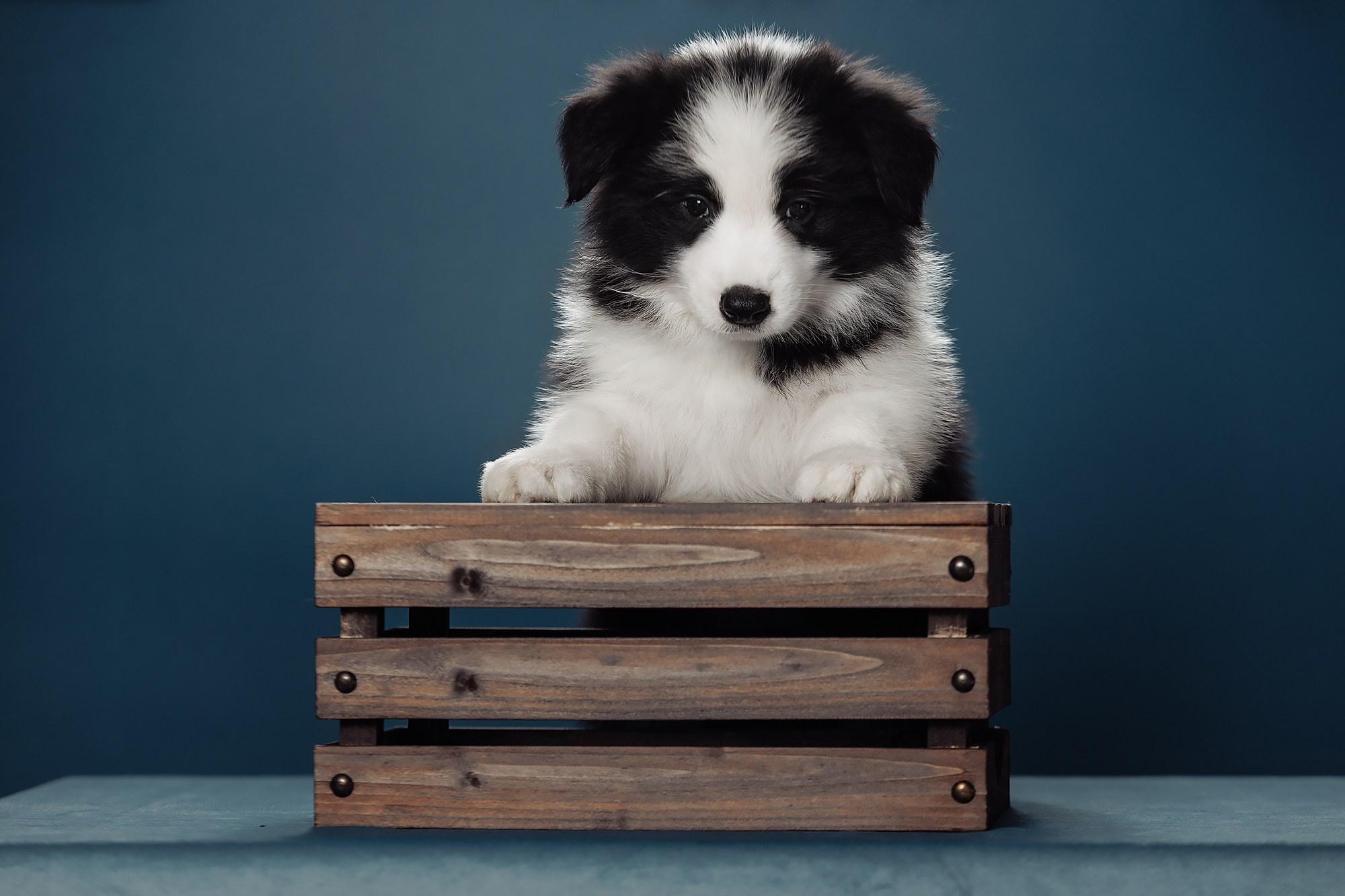 Синева. О нас