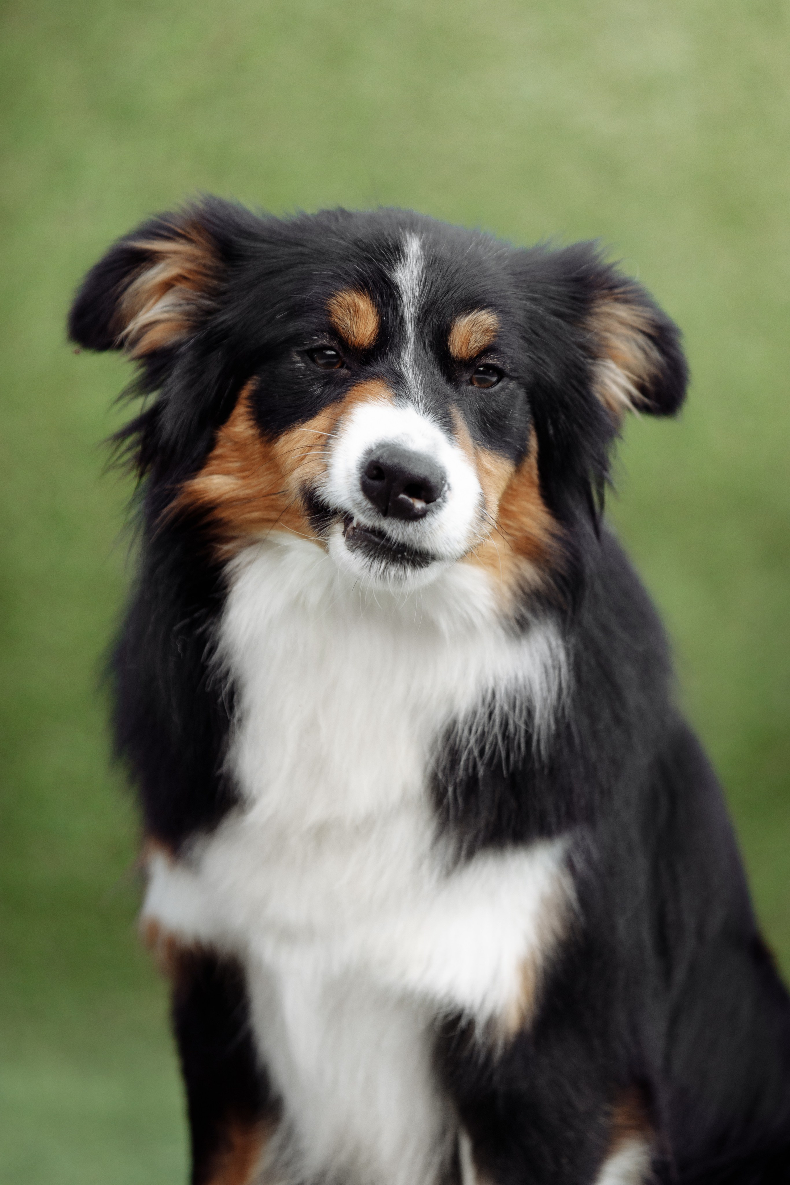 Свое место. О нас