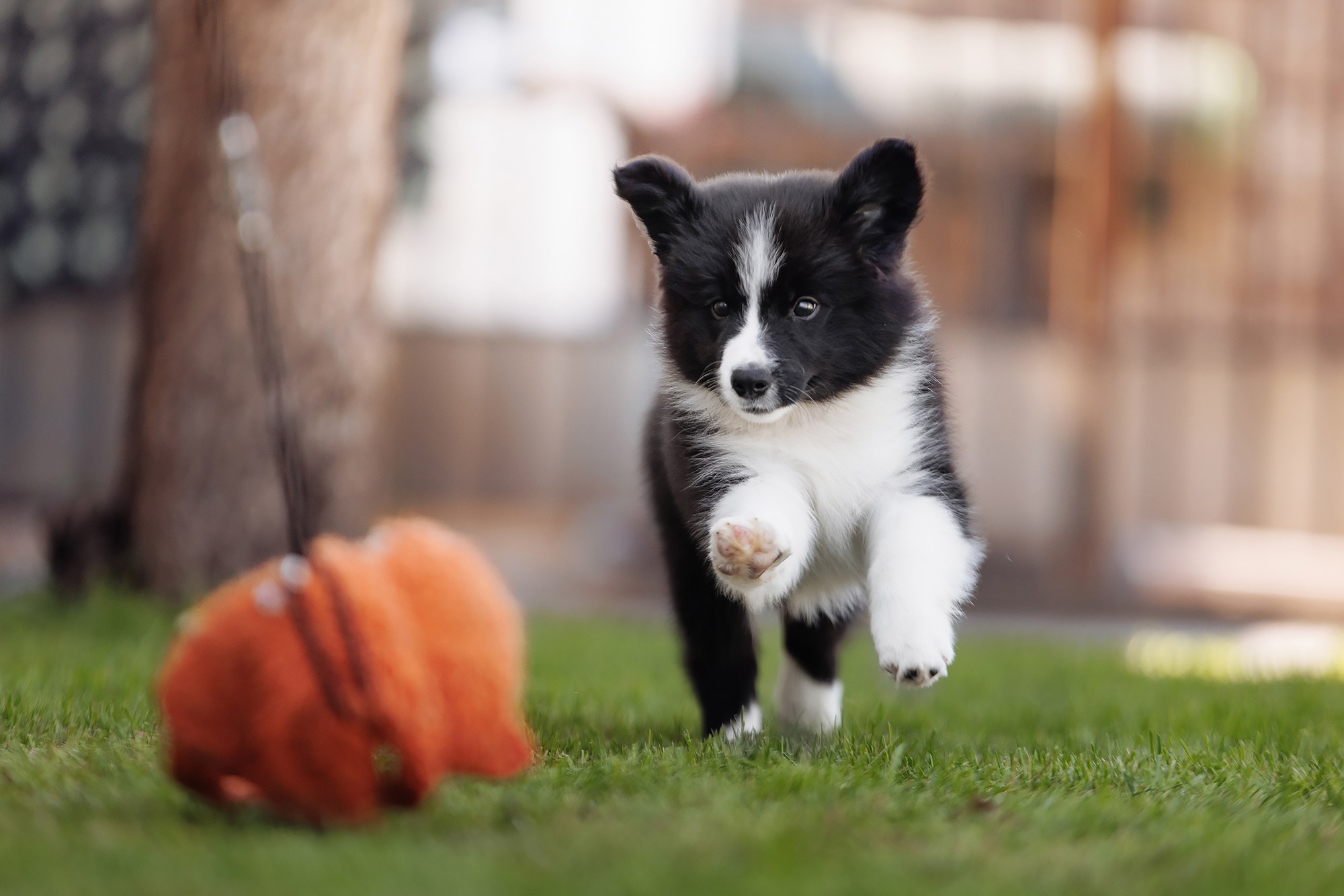 Трава у дома. О нас