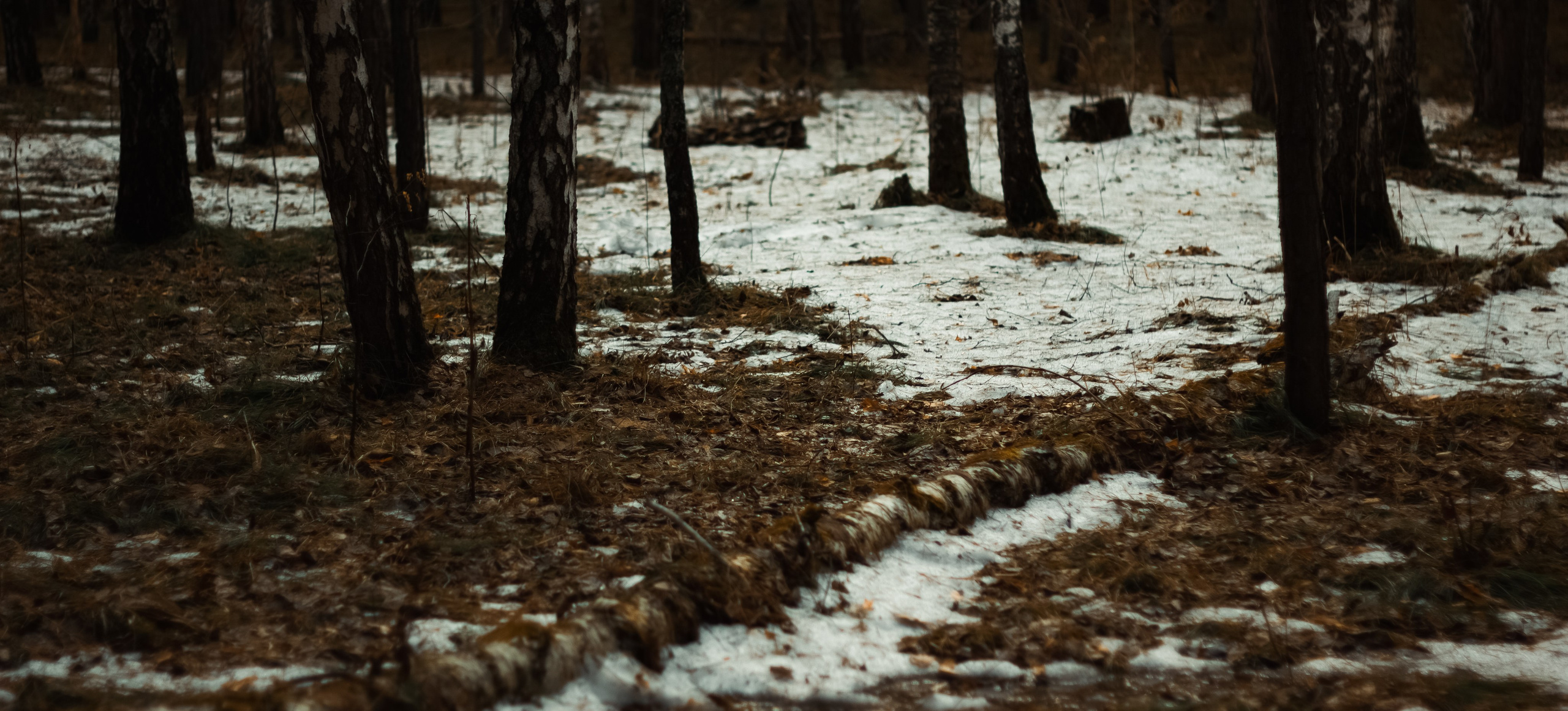 21.03.2025 | Сосновоборск. Kuznetsov | Фотограф в Красноярске