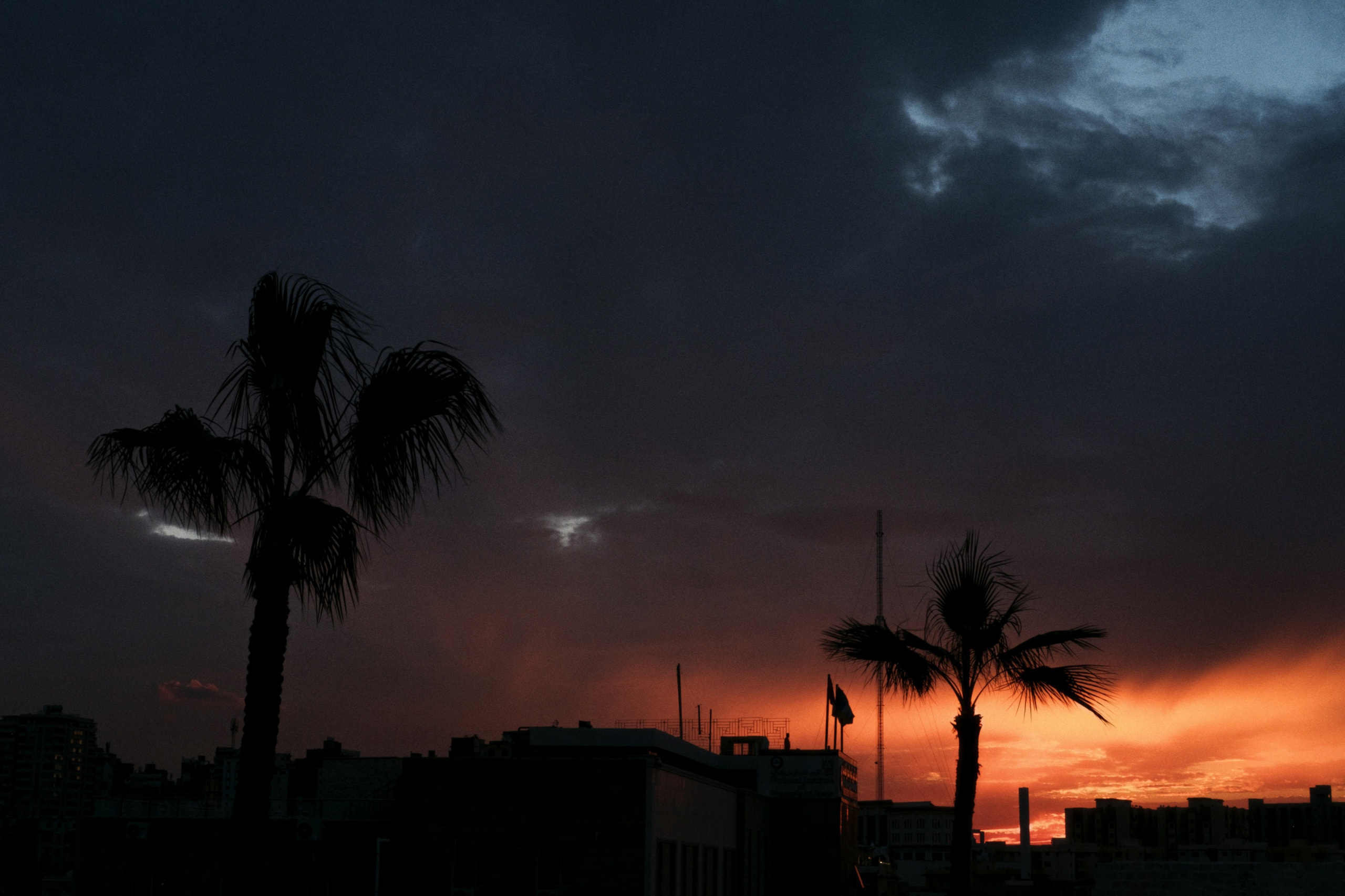 Alexandria / Egypt AW25. Фотограф Юрин Евгений