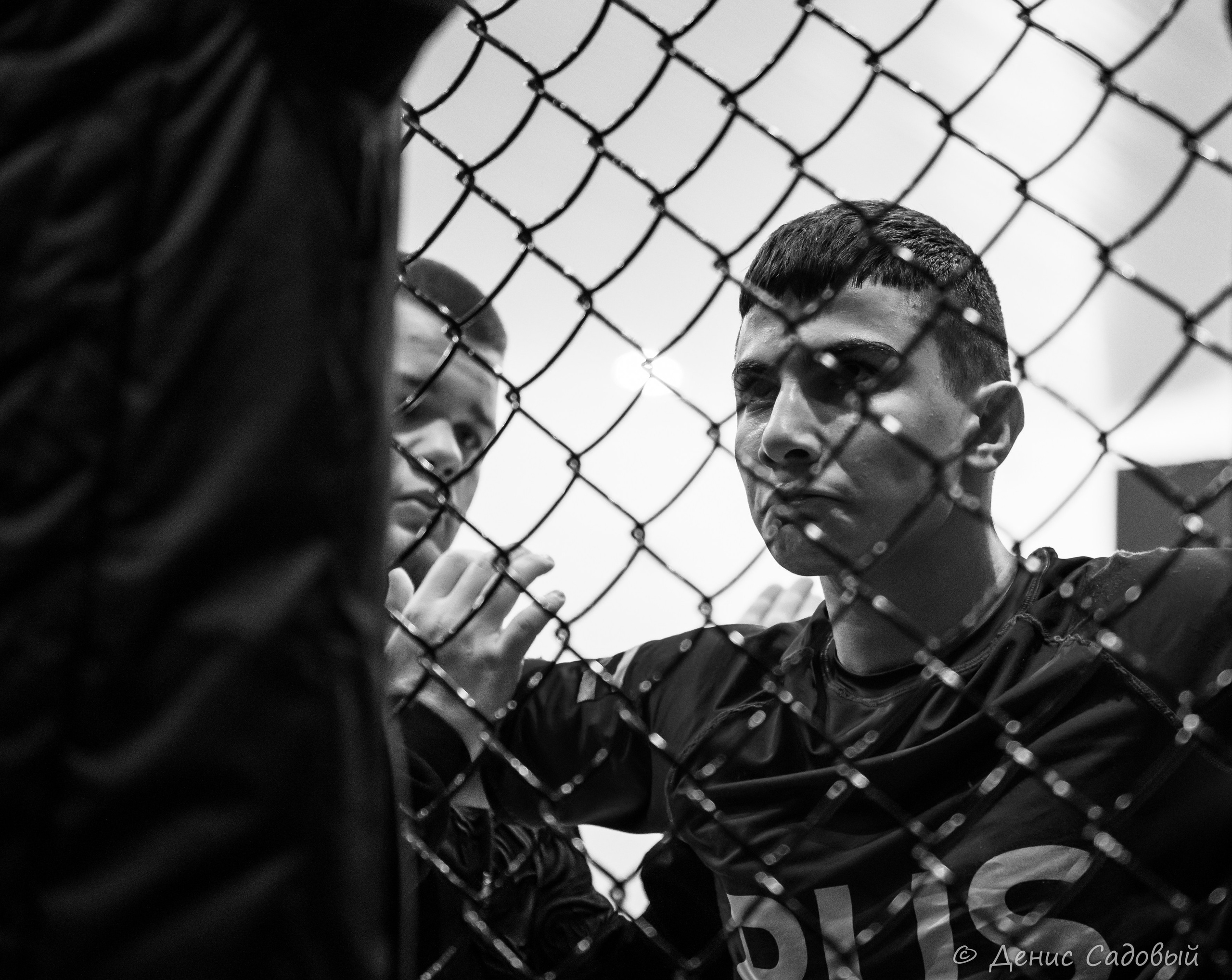 ММА Смешанные единоборства. Денис Садовый фотограф Севастополь. Фотографирую спорт, корпоративы, праздники, а также индивидуальные и семейные фотосессии