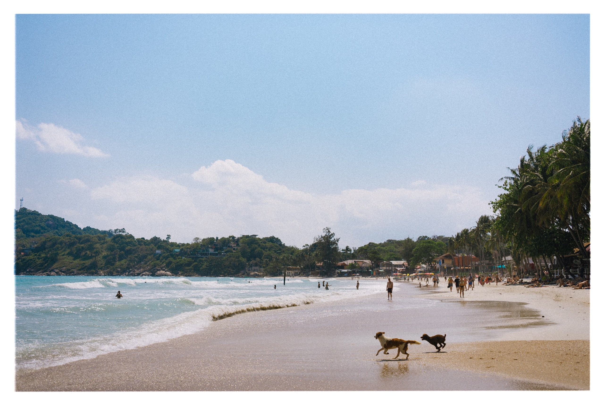 PAHNGAN 26. Свадебный и семейный фотограф Никита Корохов