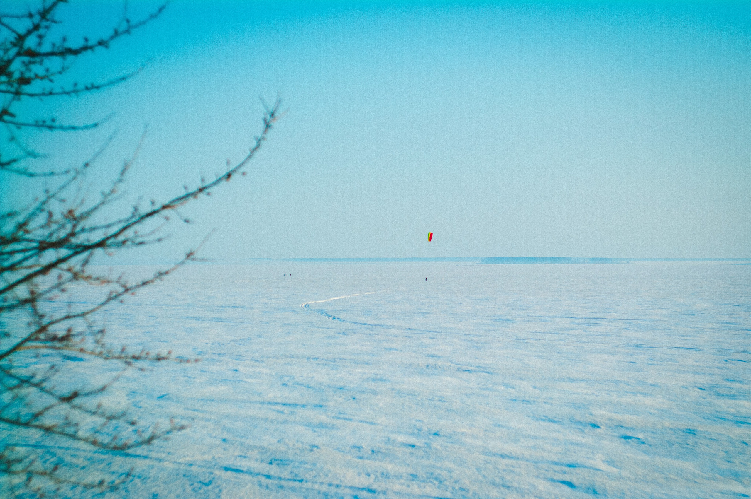 Narcissist. Den Mirov — Photographer, Musician