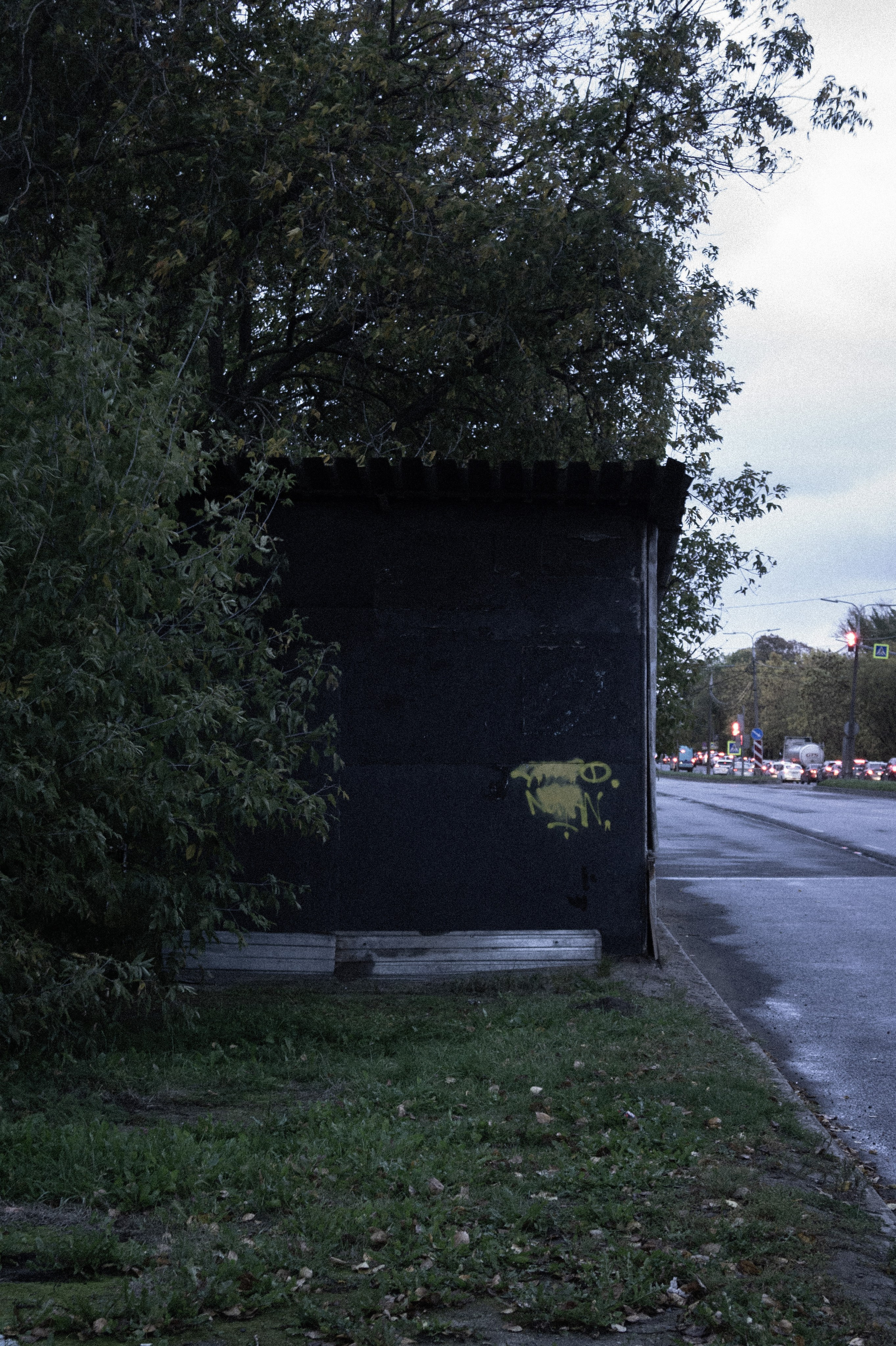 Сентябрь 2025. Den Mirov — Фотограф, Музыкант