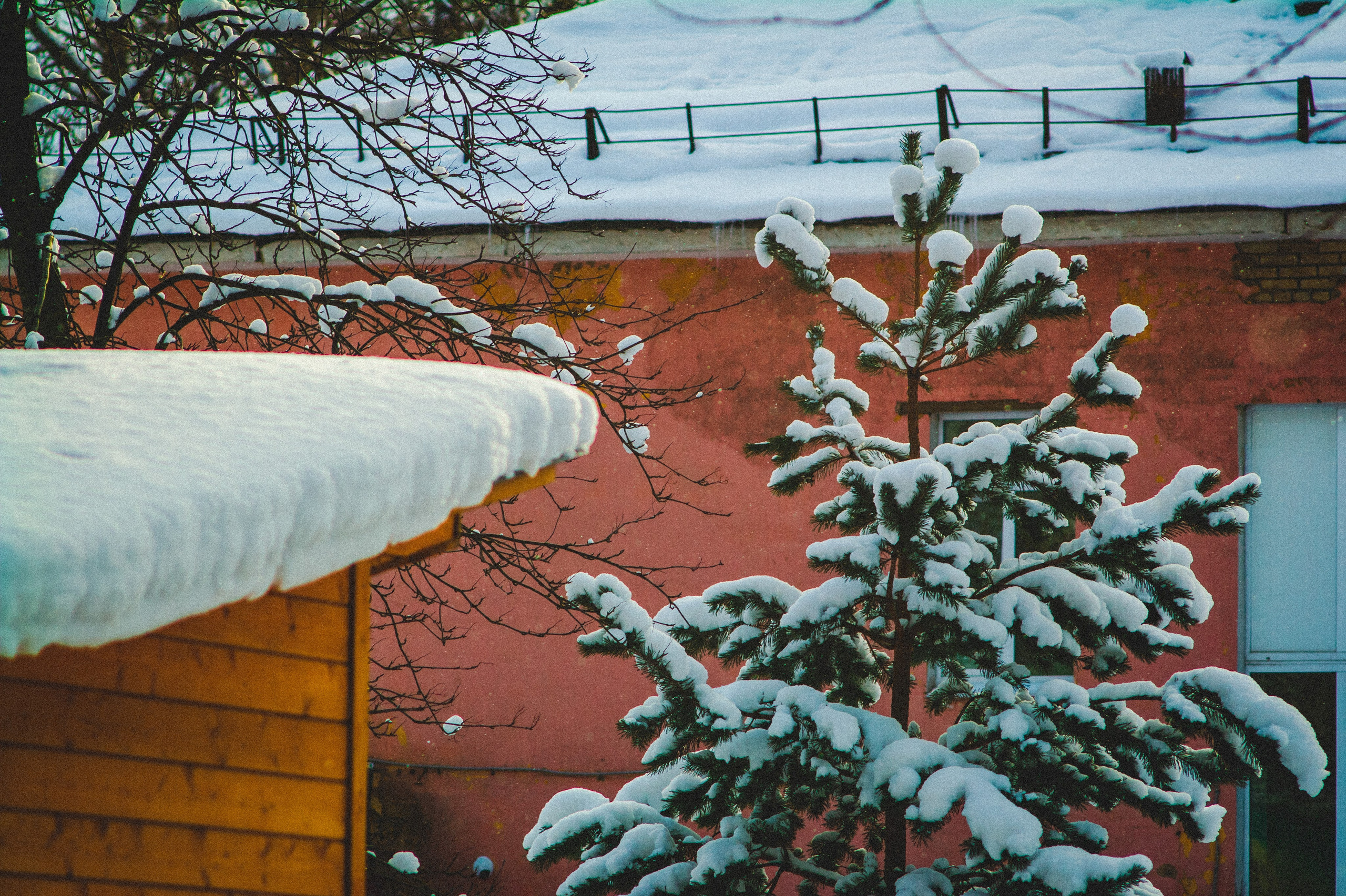Обед. Den Mirov — Фотограф, Музыкант