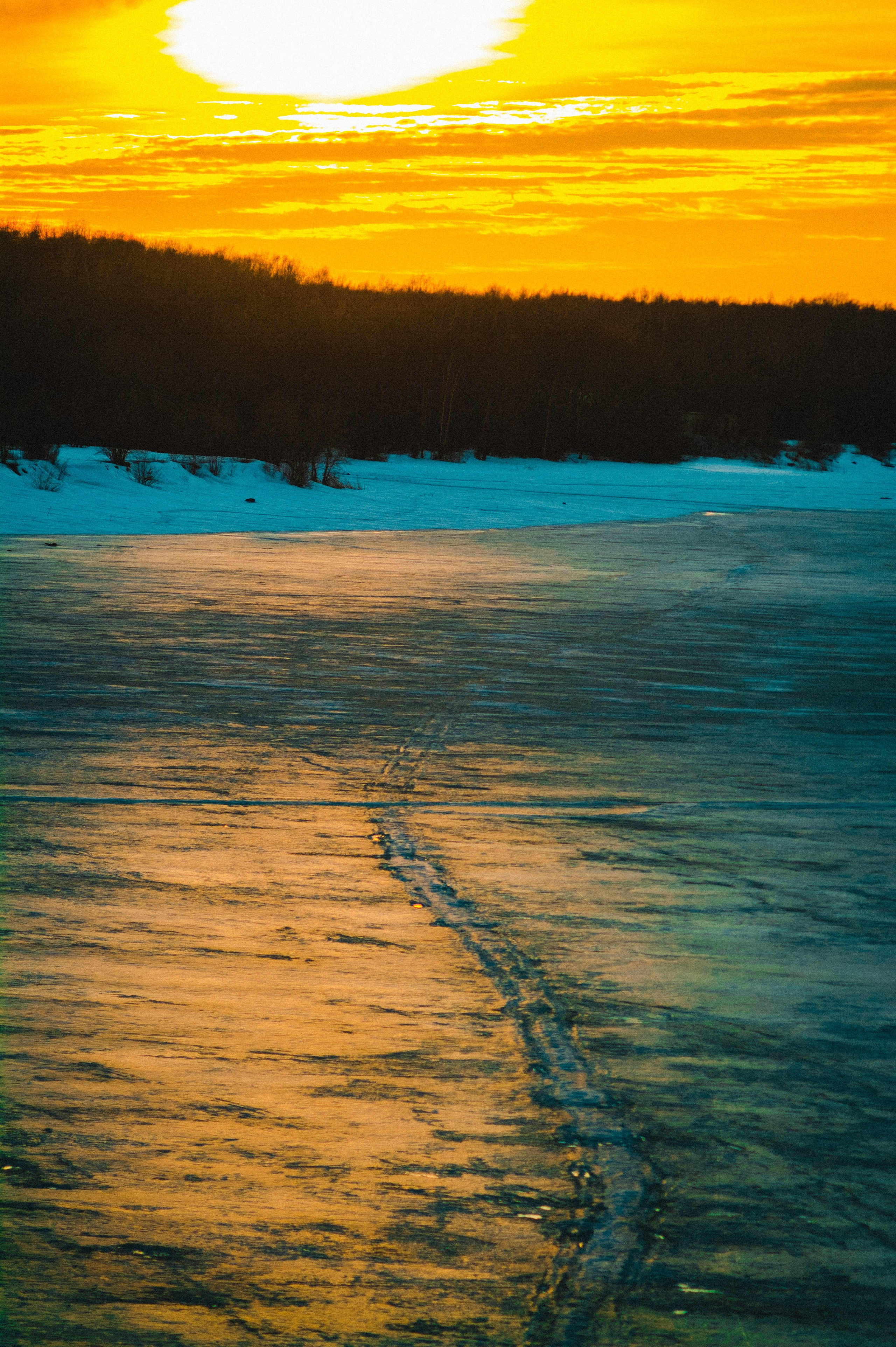 He spread his wings. Den Mirov — Photographer, Musician