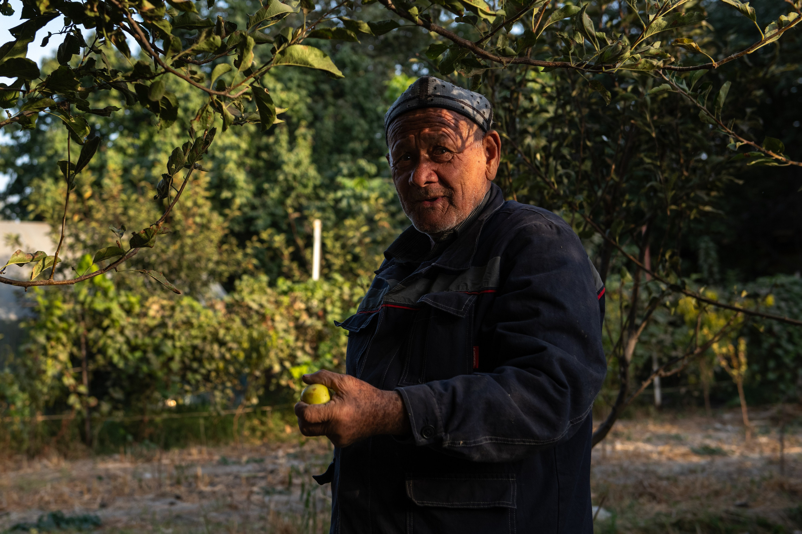 Узбекистан. Самарканд. Репортажный, спортивный и документальный фотограф в Ташкенте Алексей Елисеев