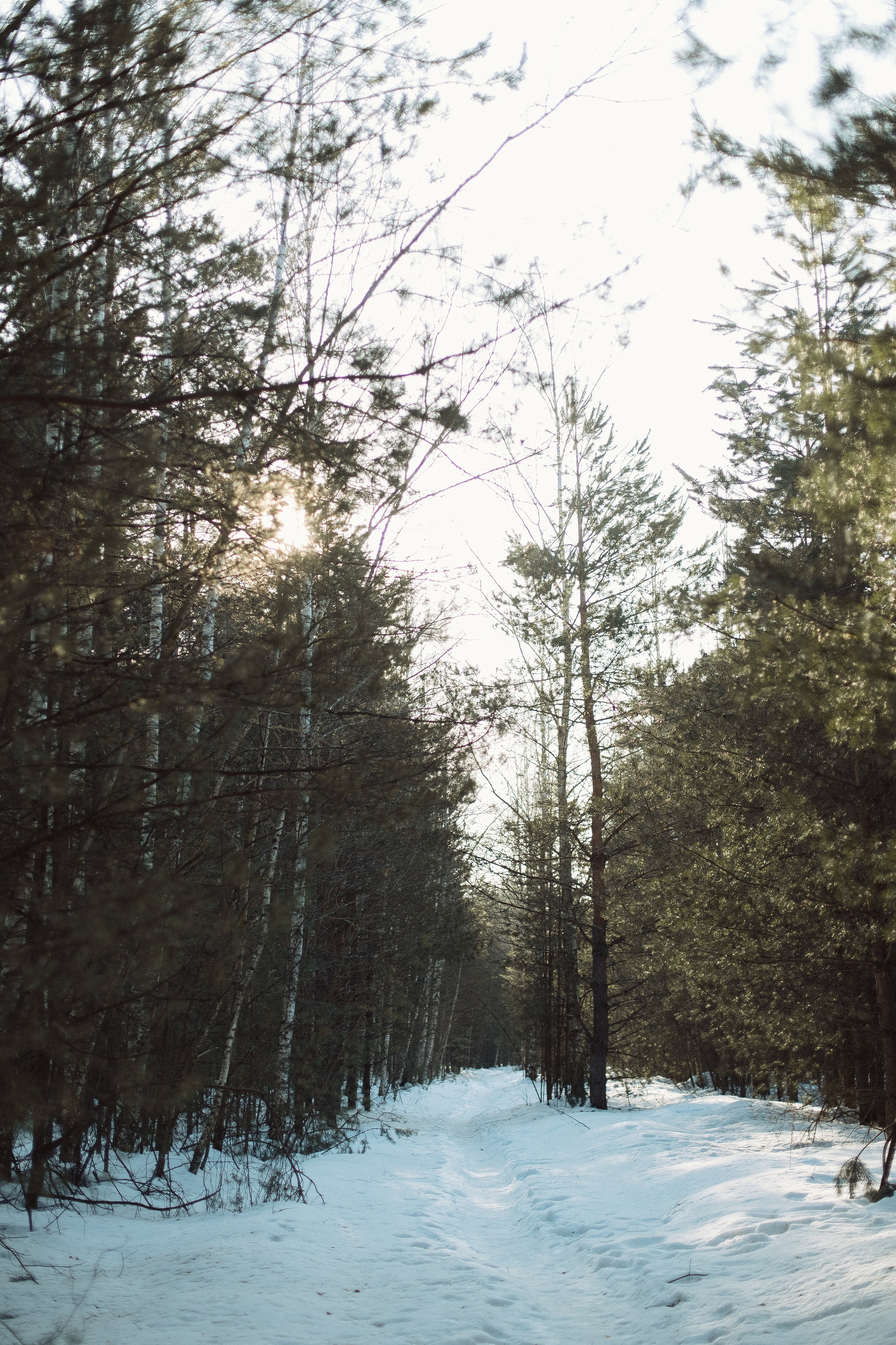 Экопарк ПОЛЯНЫ. Главная