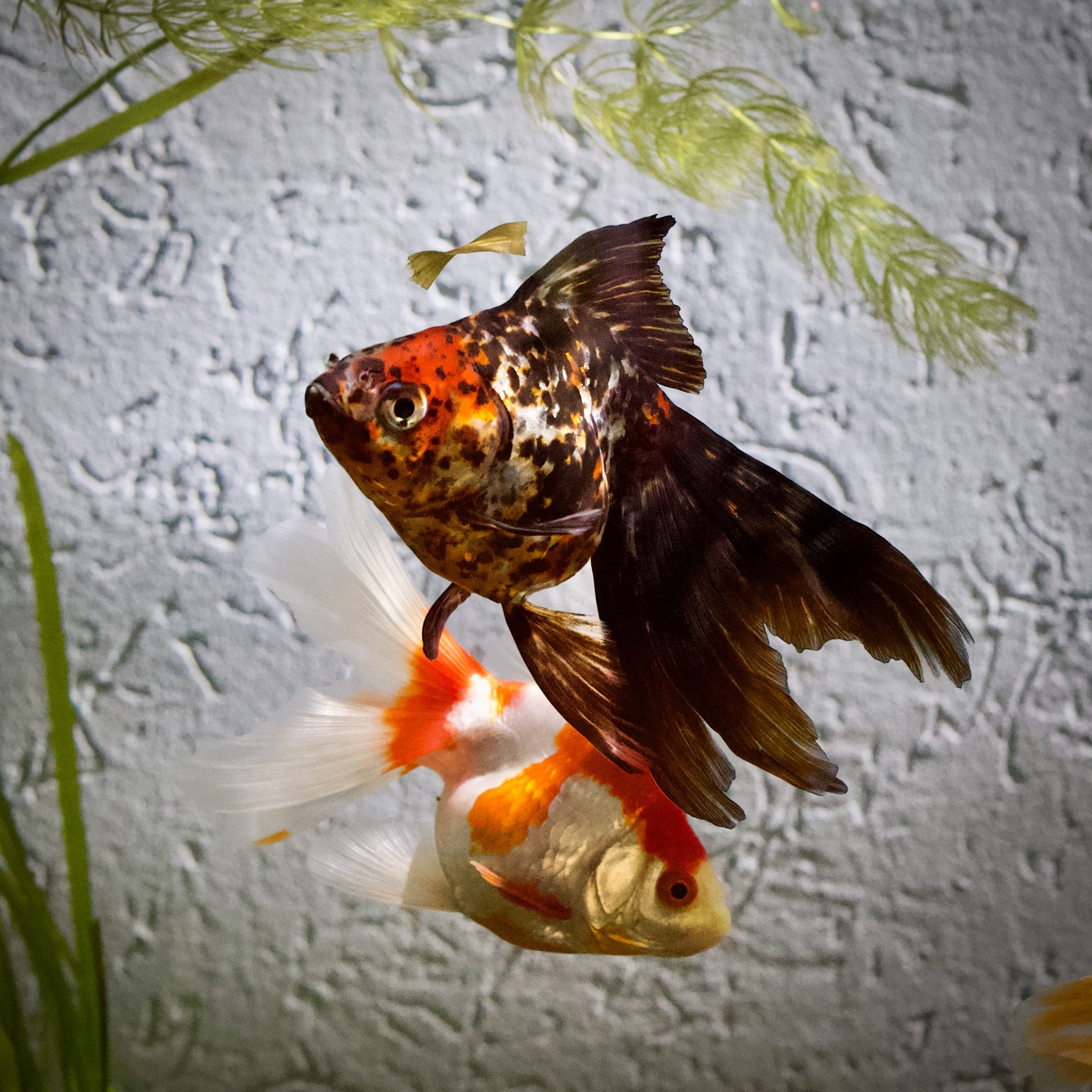 Чудесная природа. Школьные выпускные альбомы в Москве Марина Николаева