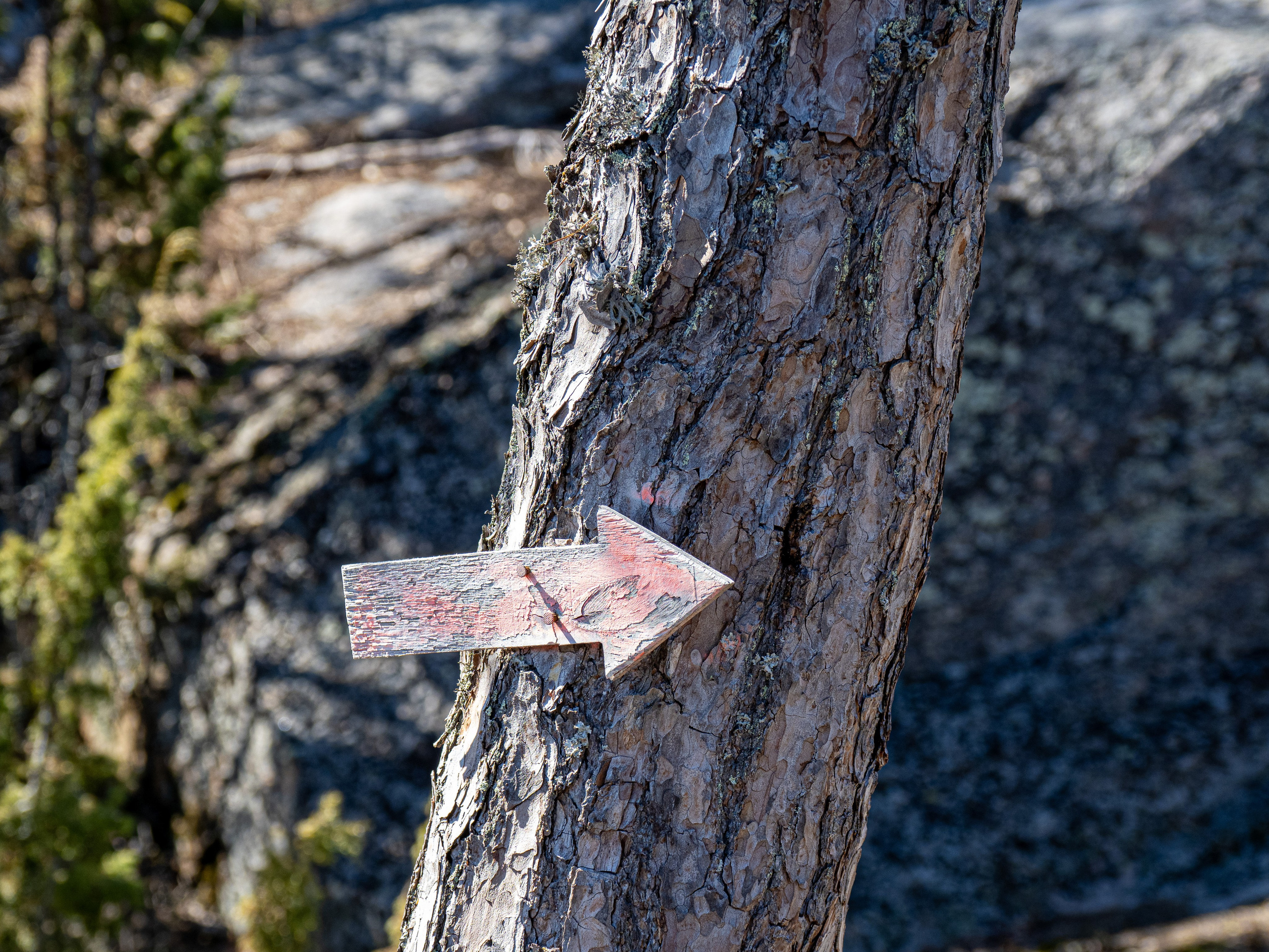 Кронштадт-Сортавала-Валаам-Выборг. Творческие сьемки