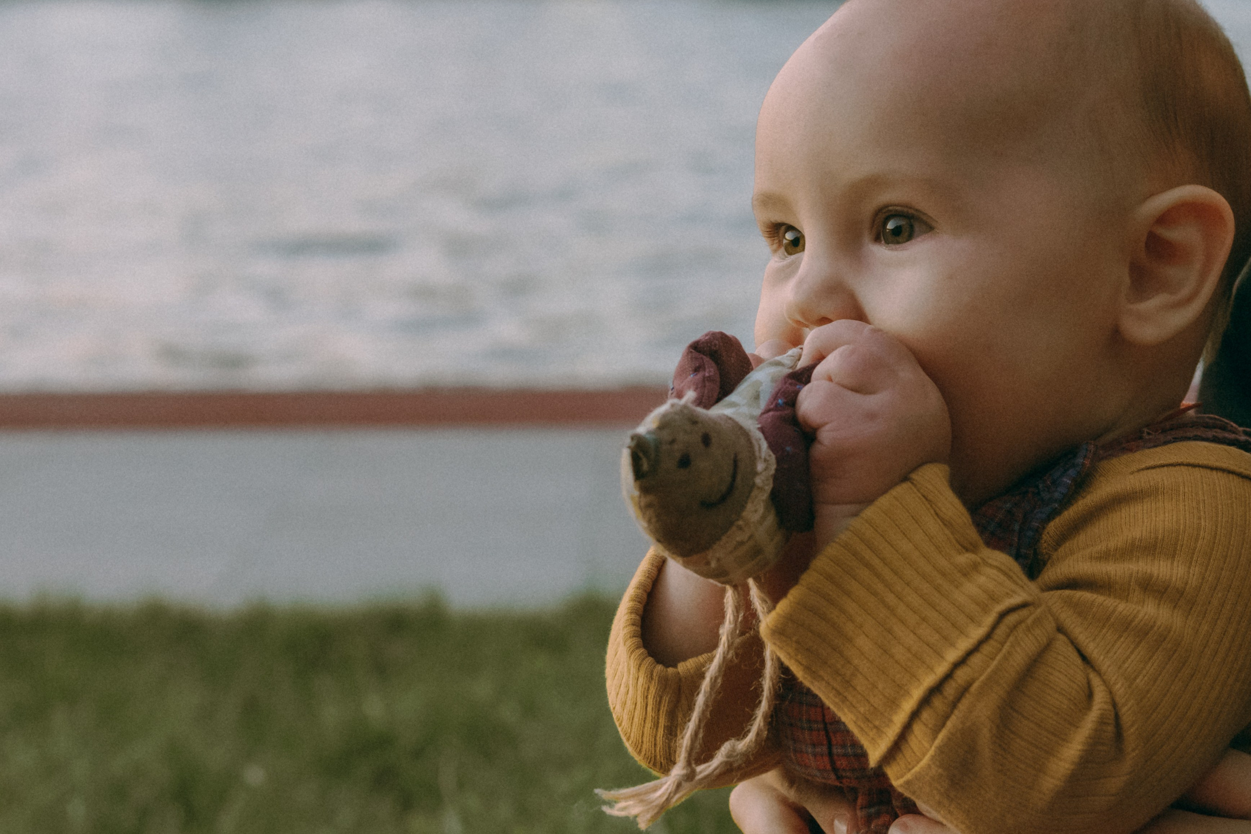 Маша и Мирра. Фотограф-анималист Ксения Воробьева, Москва