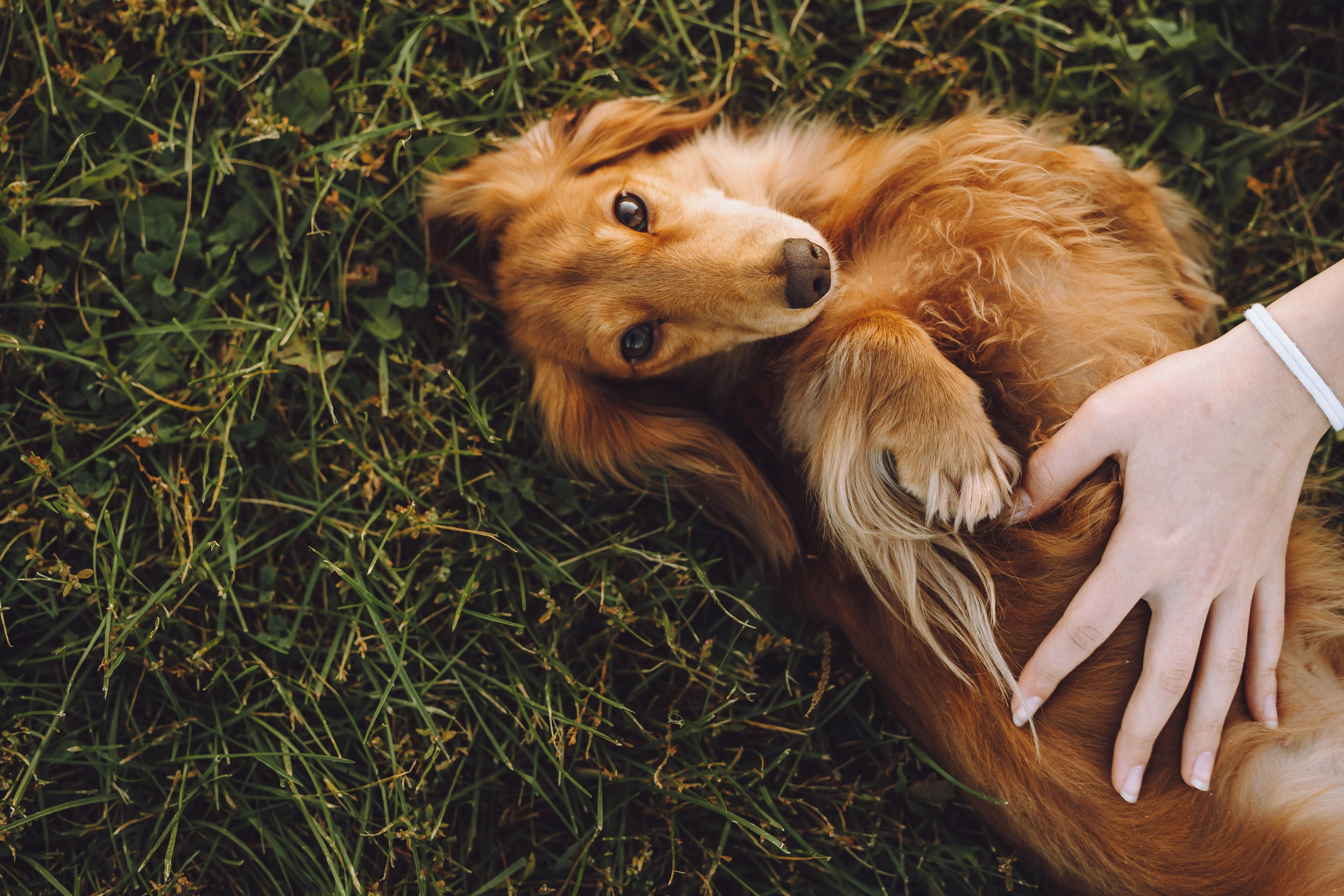 Кристина и все-все