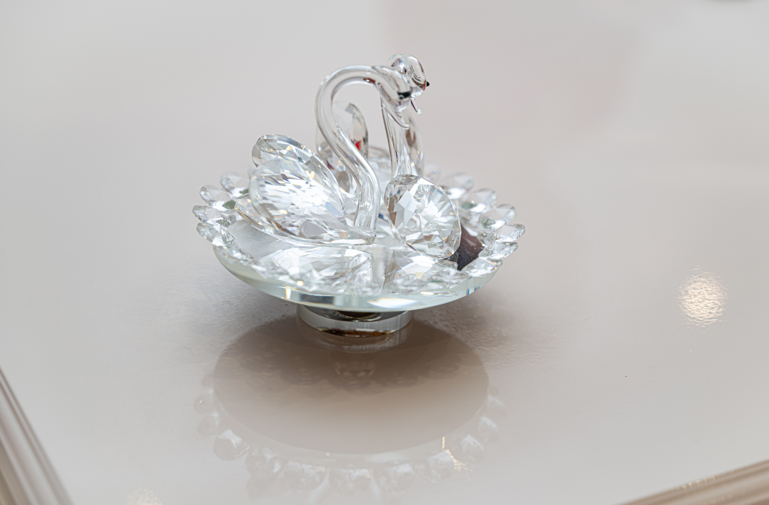 Евгений и Олеся. Фотограф самых запоминающихся моментов Вашей жизни