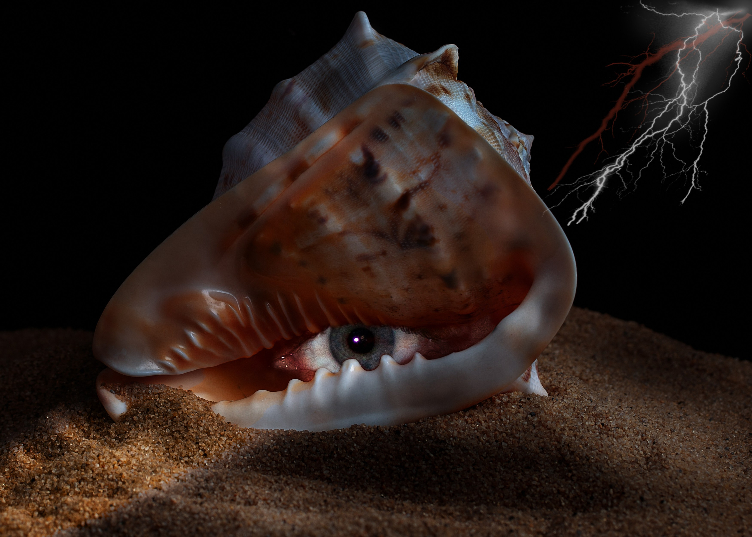 Концептуальная фотография. Медиапродюсер, фотограф в Минеральных Водах —Виктор Холодов