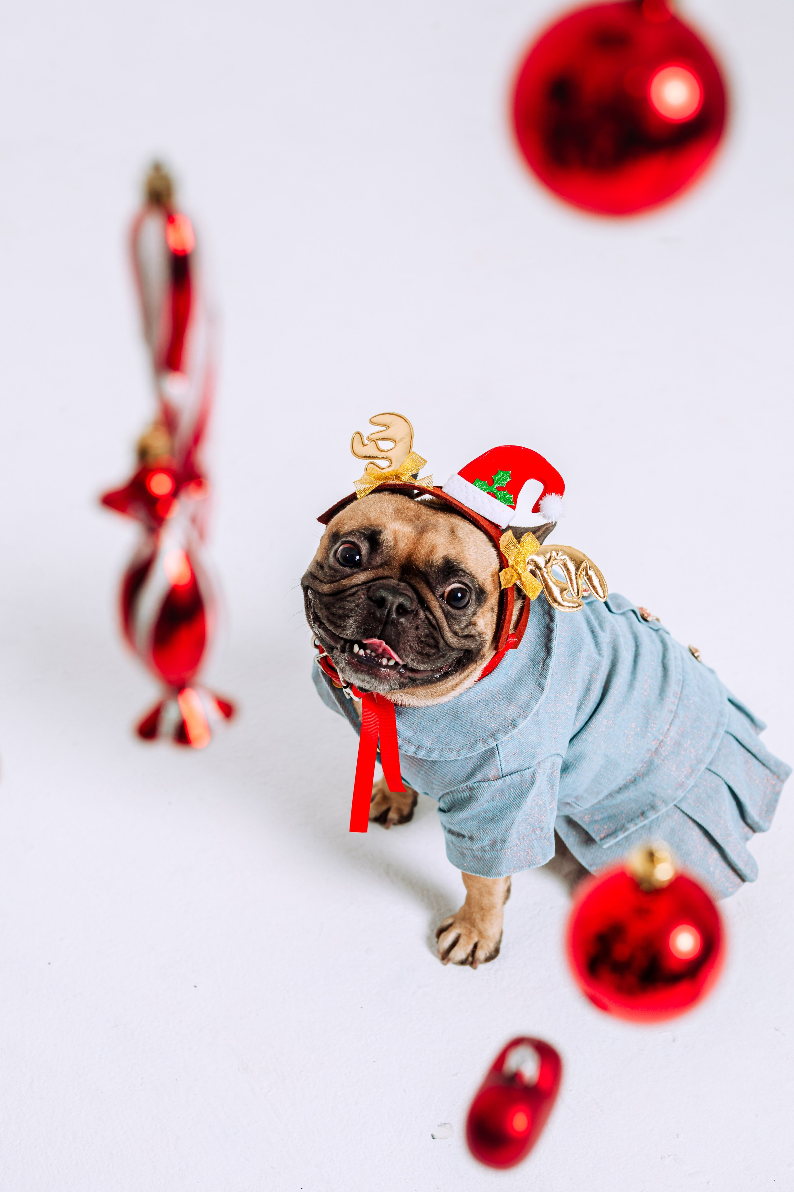 Бульвстреча 2025. Фотограф-анималист Татьяна Степанова