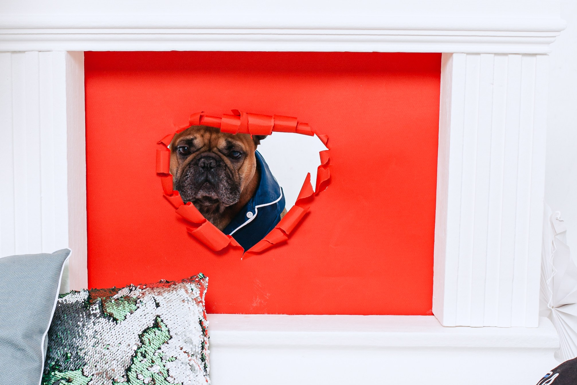 Пижамная вечеринка французских бульдогов и их хозяев. Фотограф-анималист Татьяна Степанова