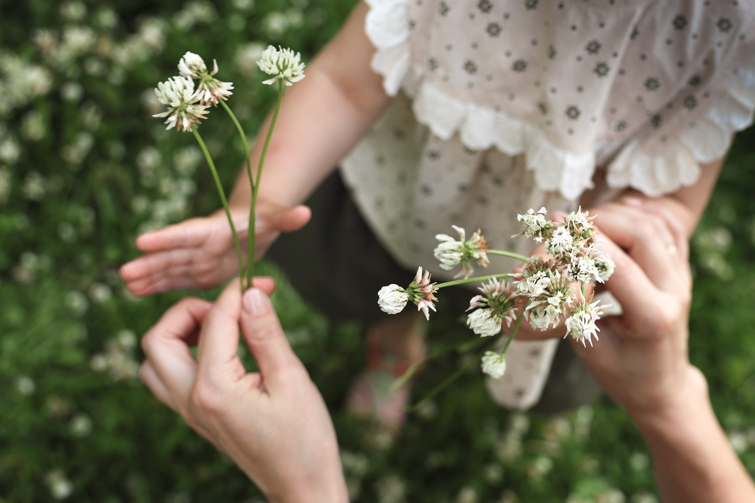 На полянке клевера. Ваш семейный newborn и lifestyle фотограф в СПБ Наталья Журавлева