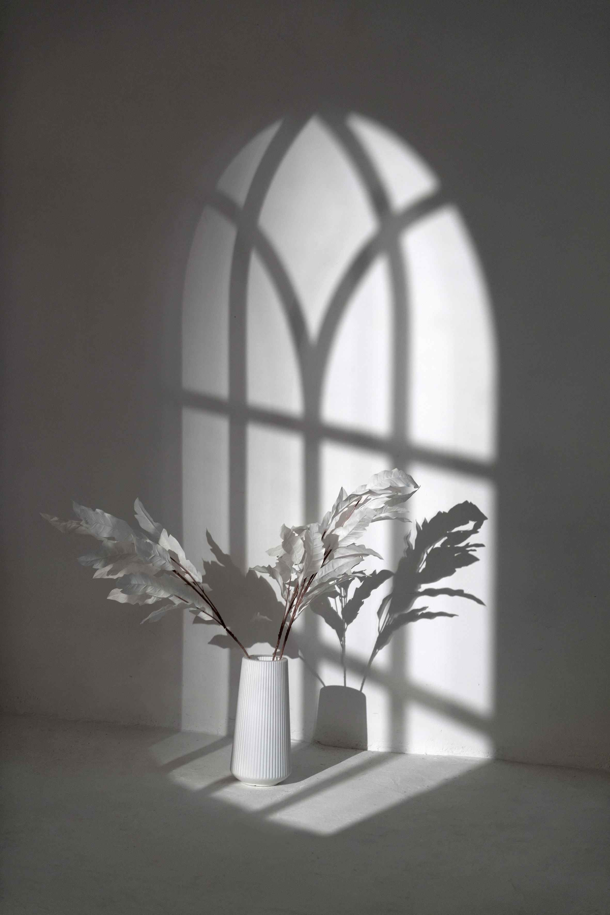 Аренда. ФОТОСТУДИЯ СЕНСАЦИЯ | Рязань