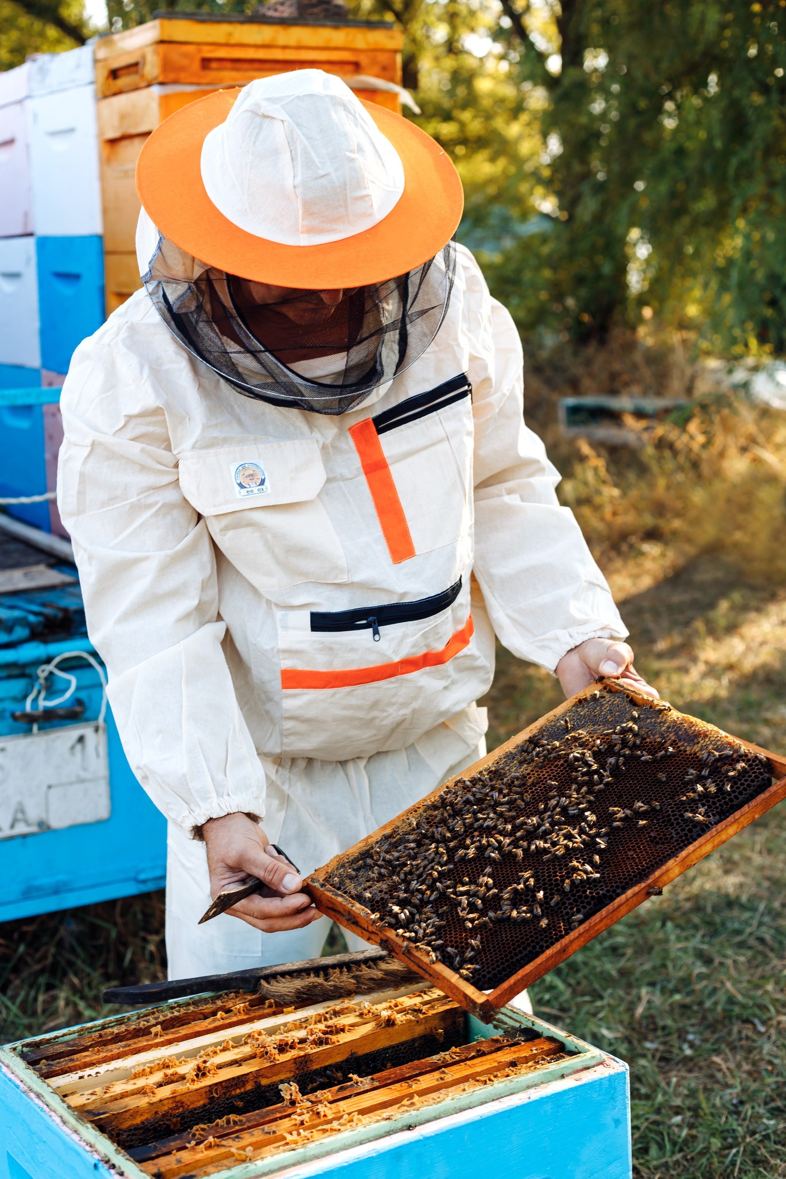 Контент фотосессия для частной пасеки. Свадебный и семейный фотограф в Краснодарском крае Мария Данилкина