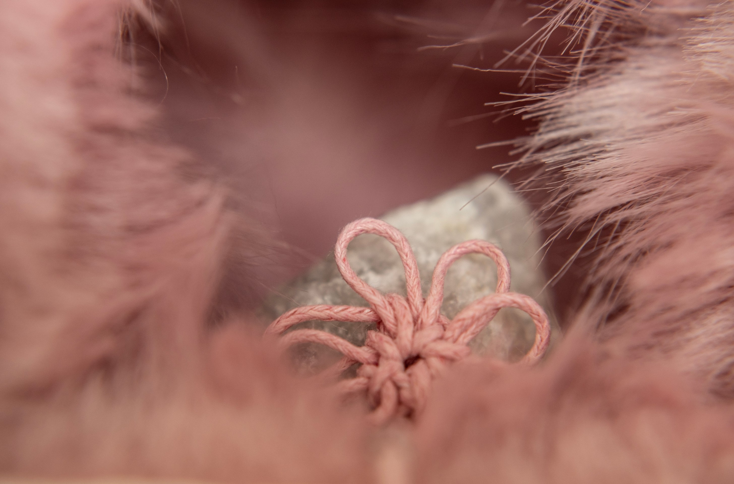 Сердце дома. Visual artist