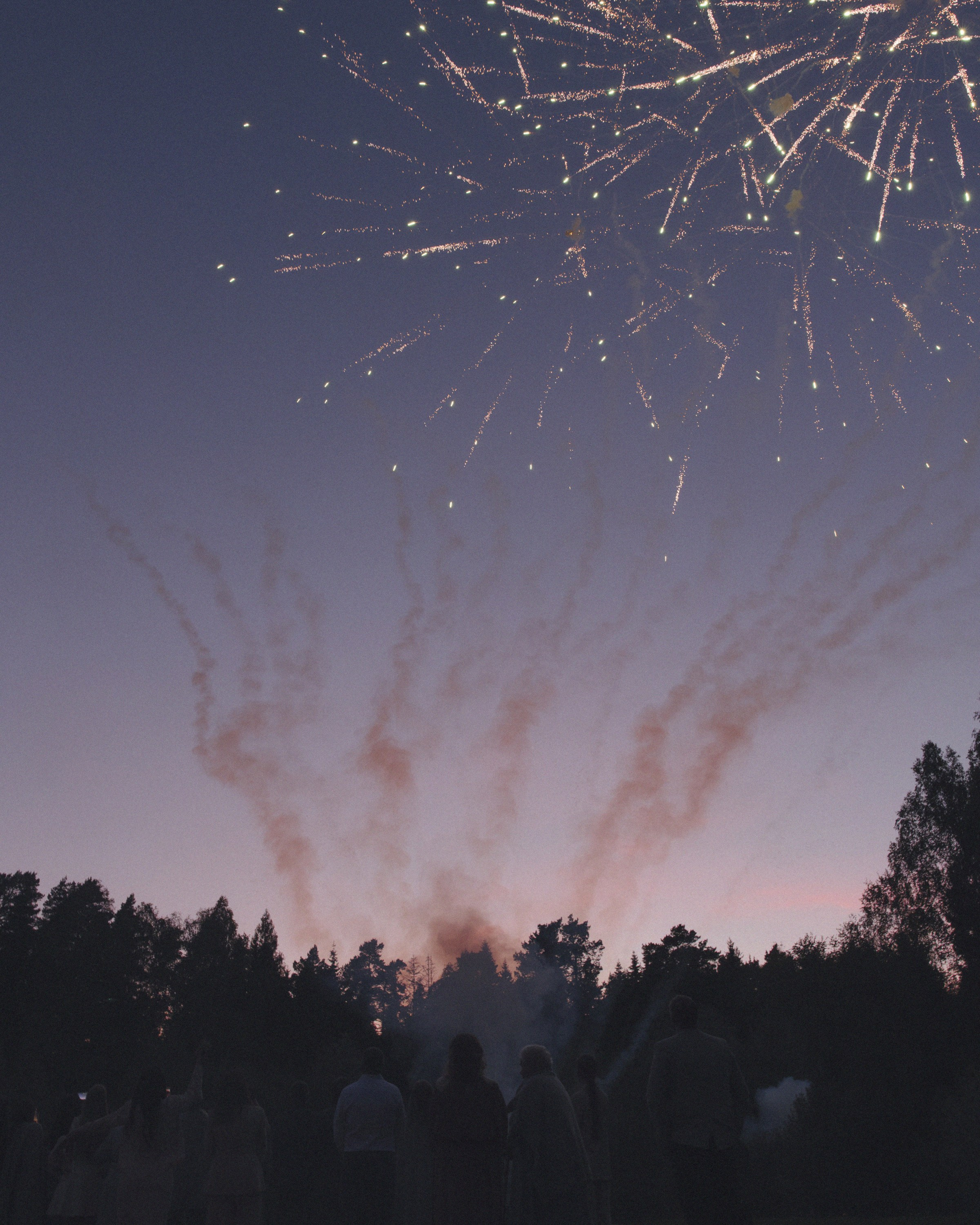 Свадебный фотограф в Москве Александр Рыжков