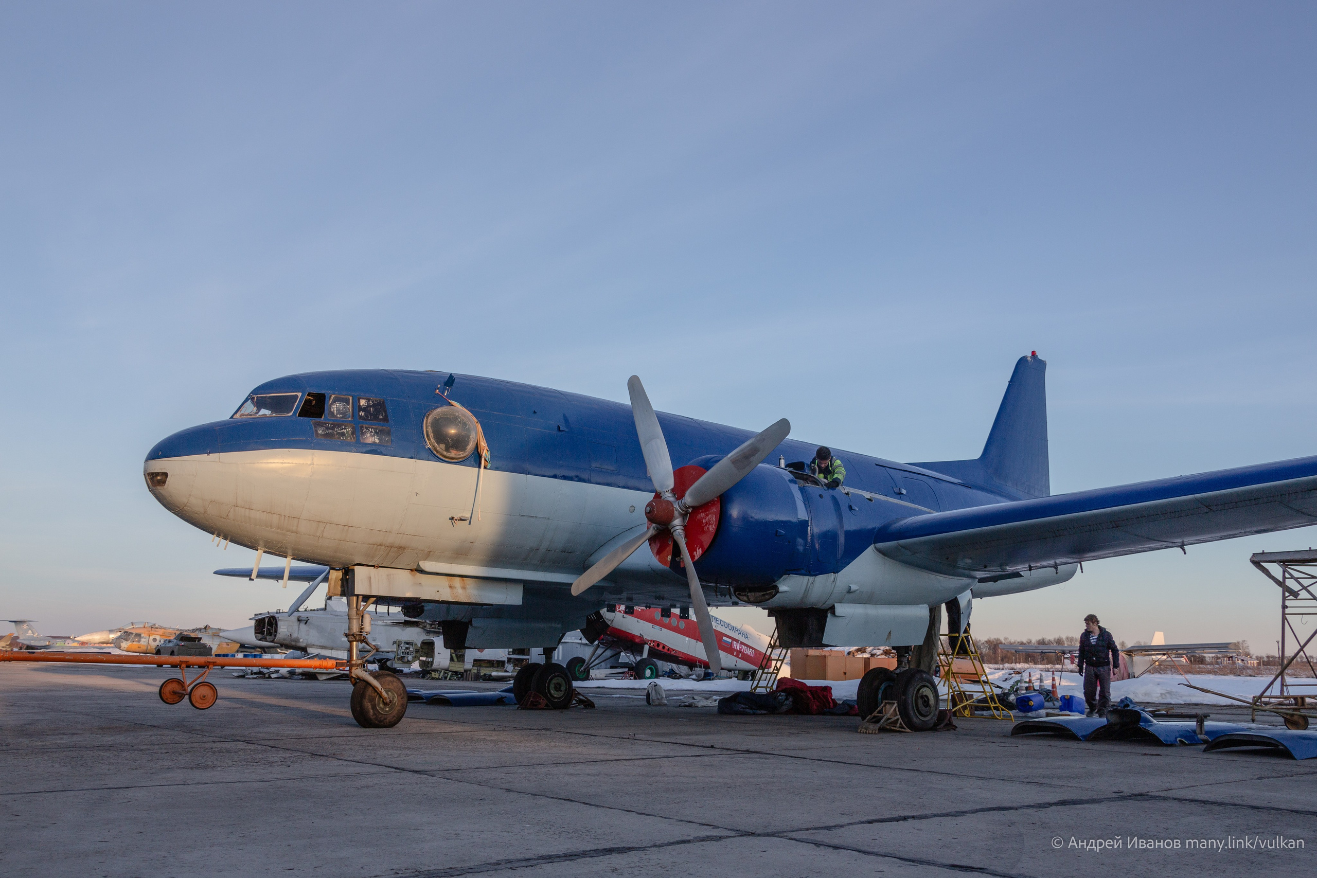 Ил-14Т «Голубая Мечта» (2026 г.). Фотоальбом показывающий увлекательный мир авиации и мир медведей Андрея Иванова