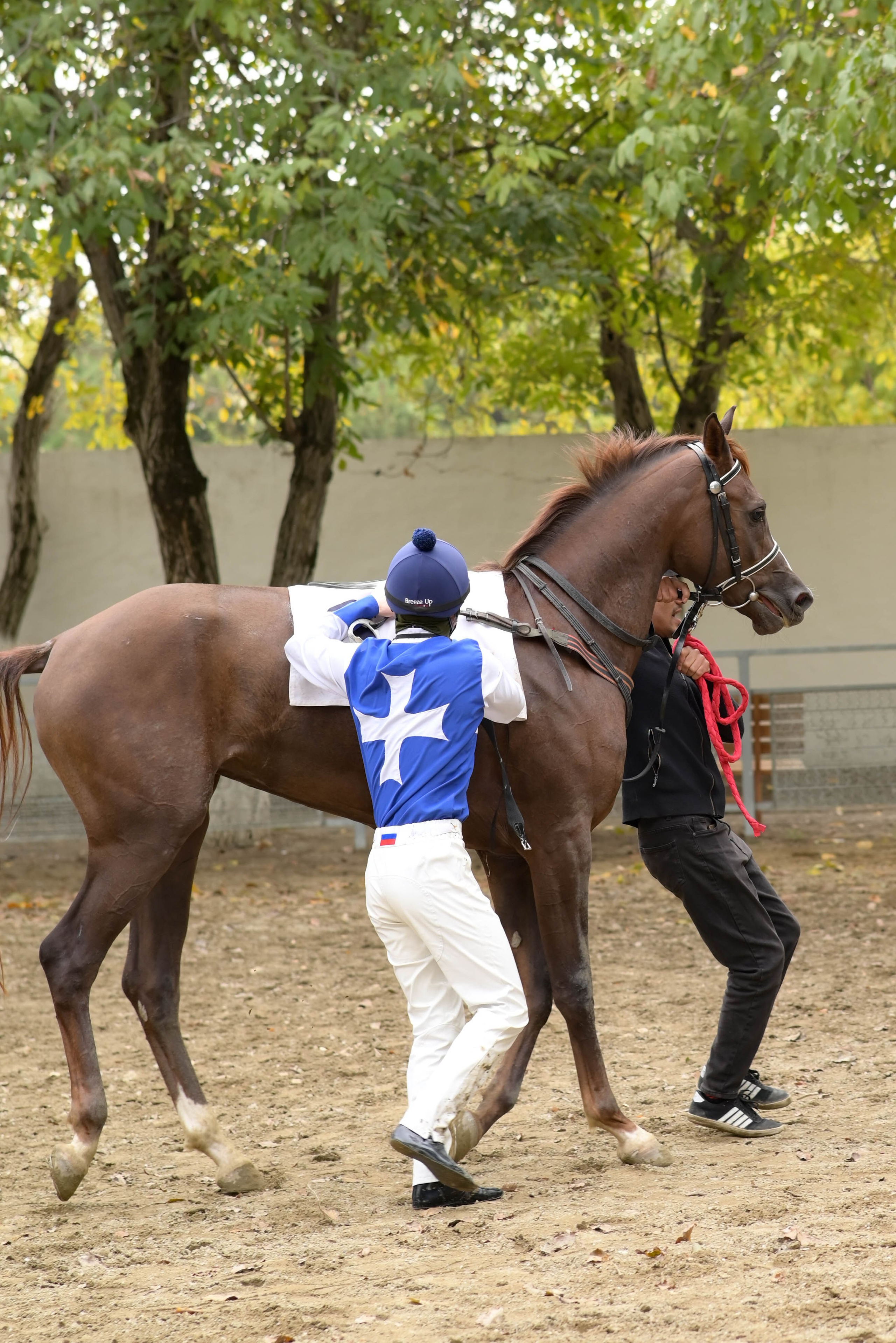 Закрытие скакового сезона 2024 г. Краснодар. Фотограф Краснодар Наталья Сувит