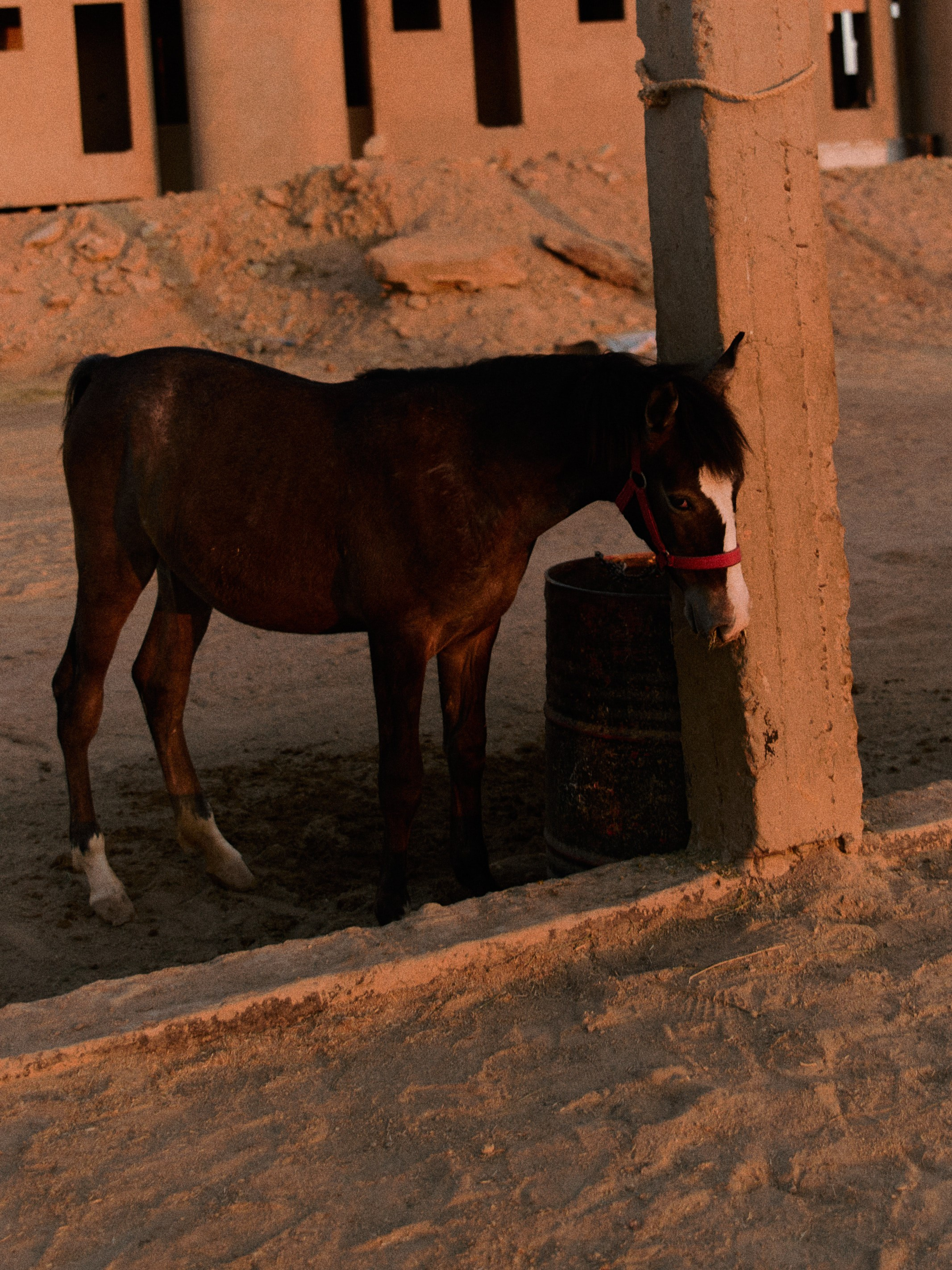 Другое 2. Jorgis Talè — photographer, kind person, teacher of arts and other mag