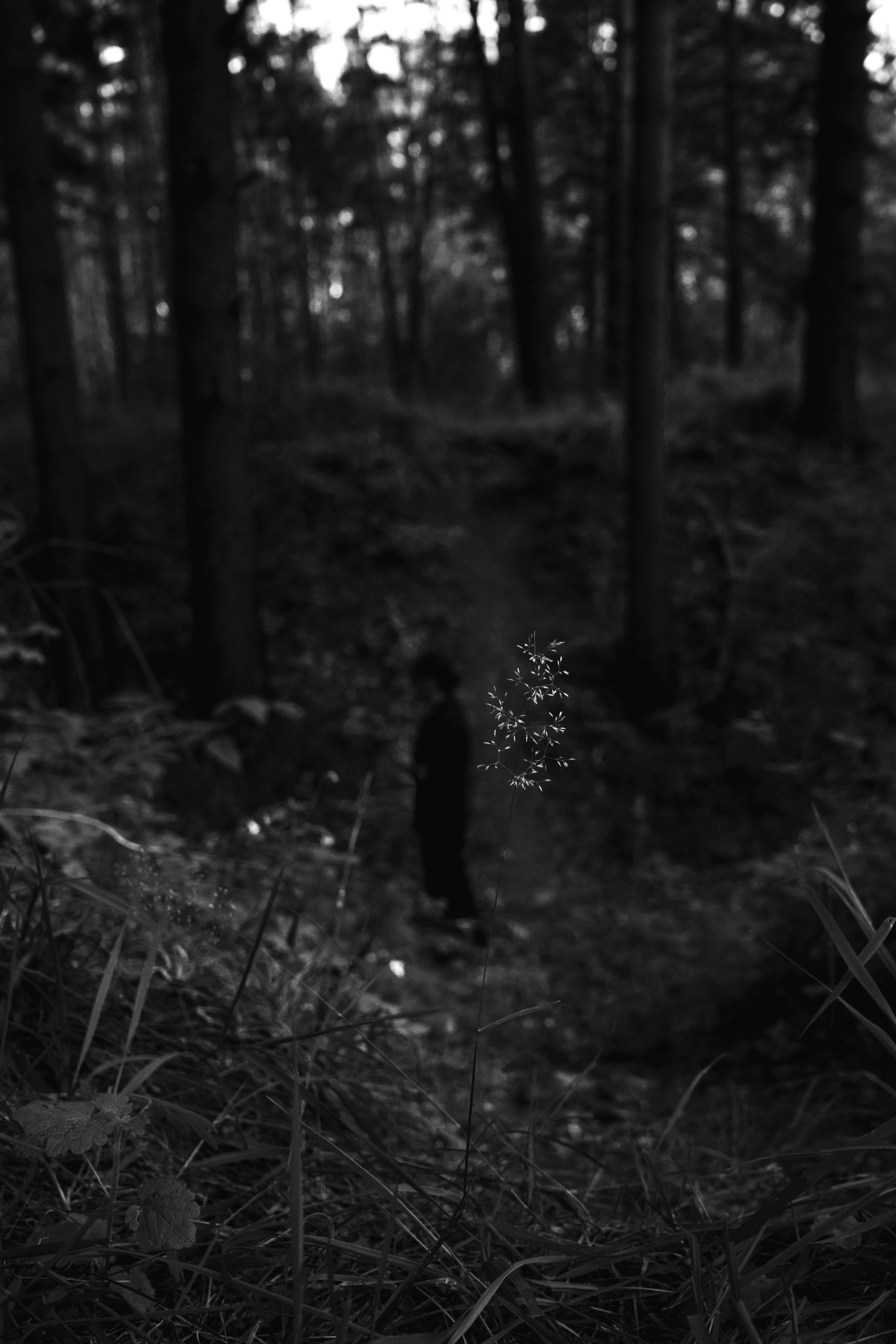 Уличная фотосессия в Питере с сигаретой в лесу. Портретный фотограф в Санкт-Петербурге Дори Милиева