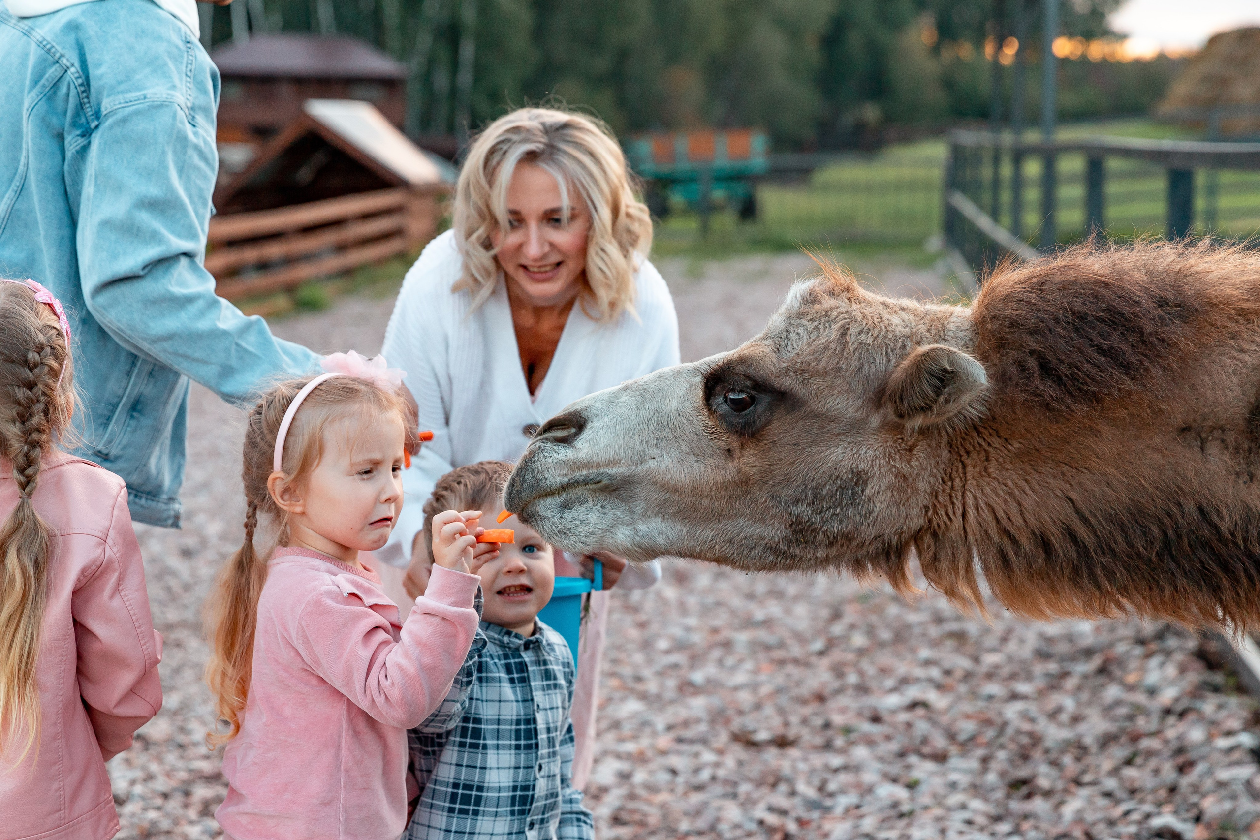 Прогулка на ранчо. Детский и семейный фотограф в Красноярске Юлия Бирюкова