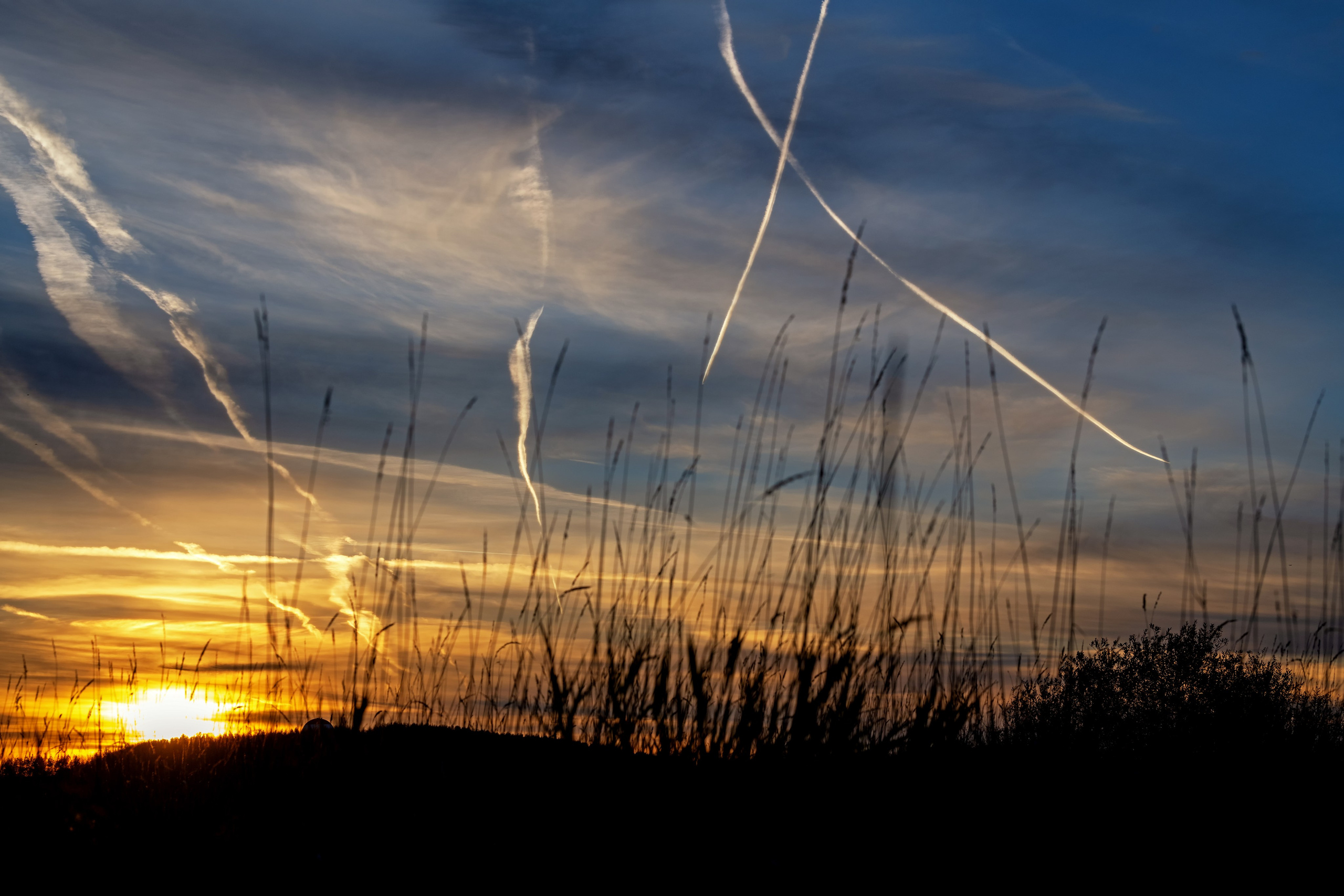 ПРИРОДА. От прошлого к будущему авиации через фотографию