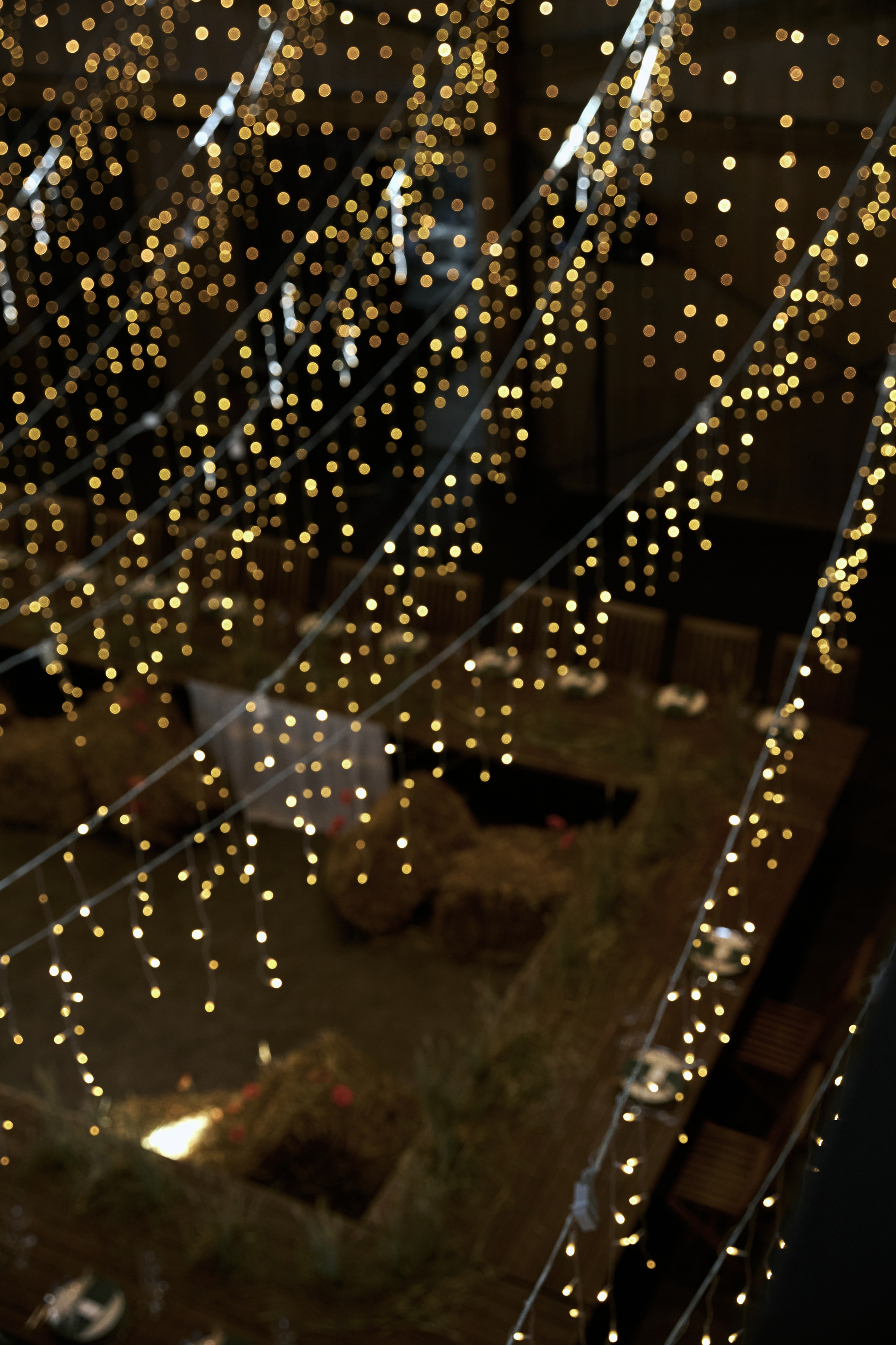 I & E. Anastasia Jes