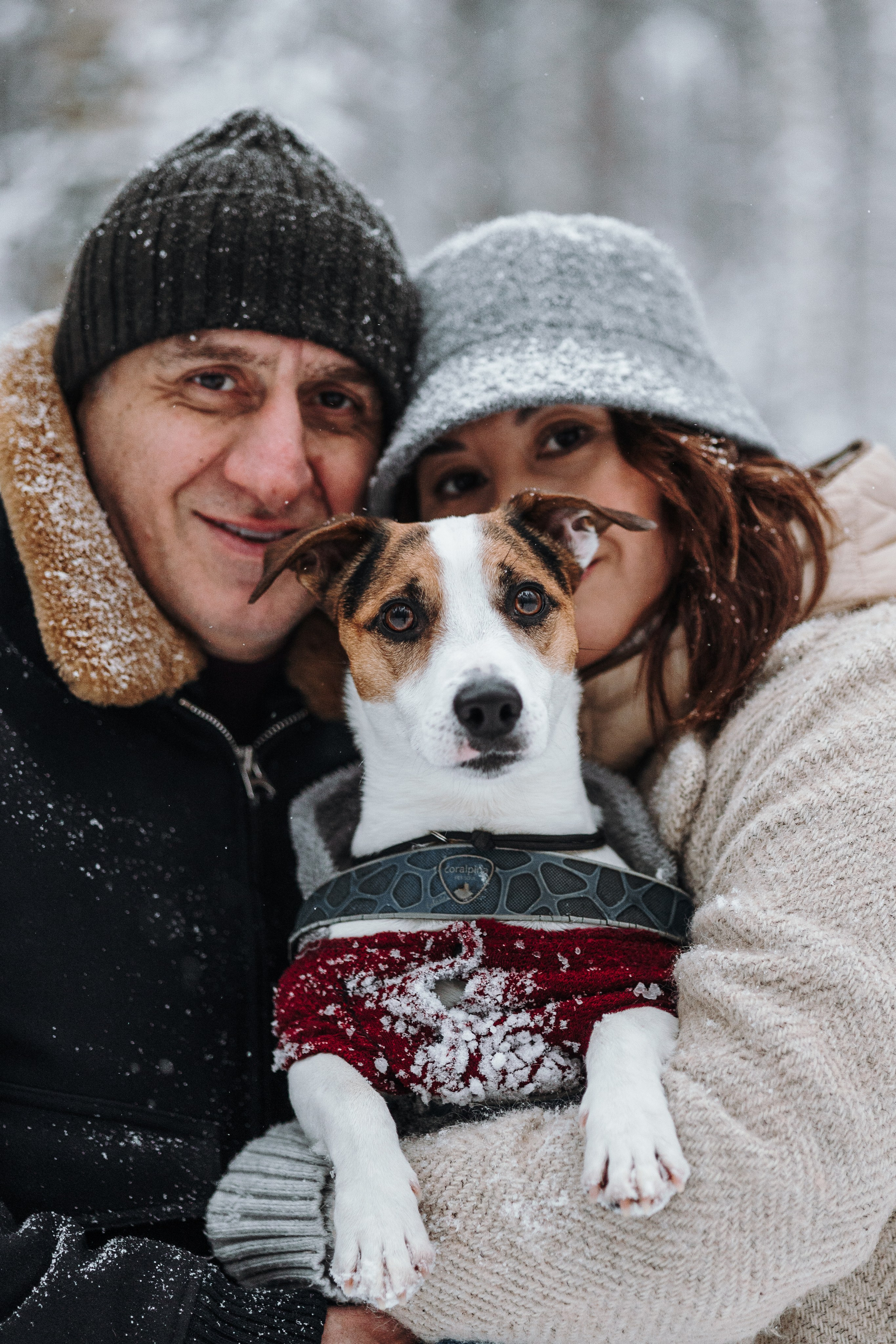 Мики и его семья. Фотограф — Анималист | Санкт-Петербург