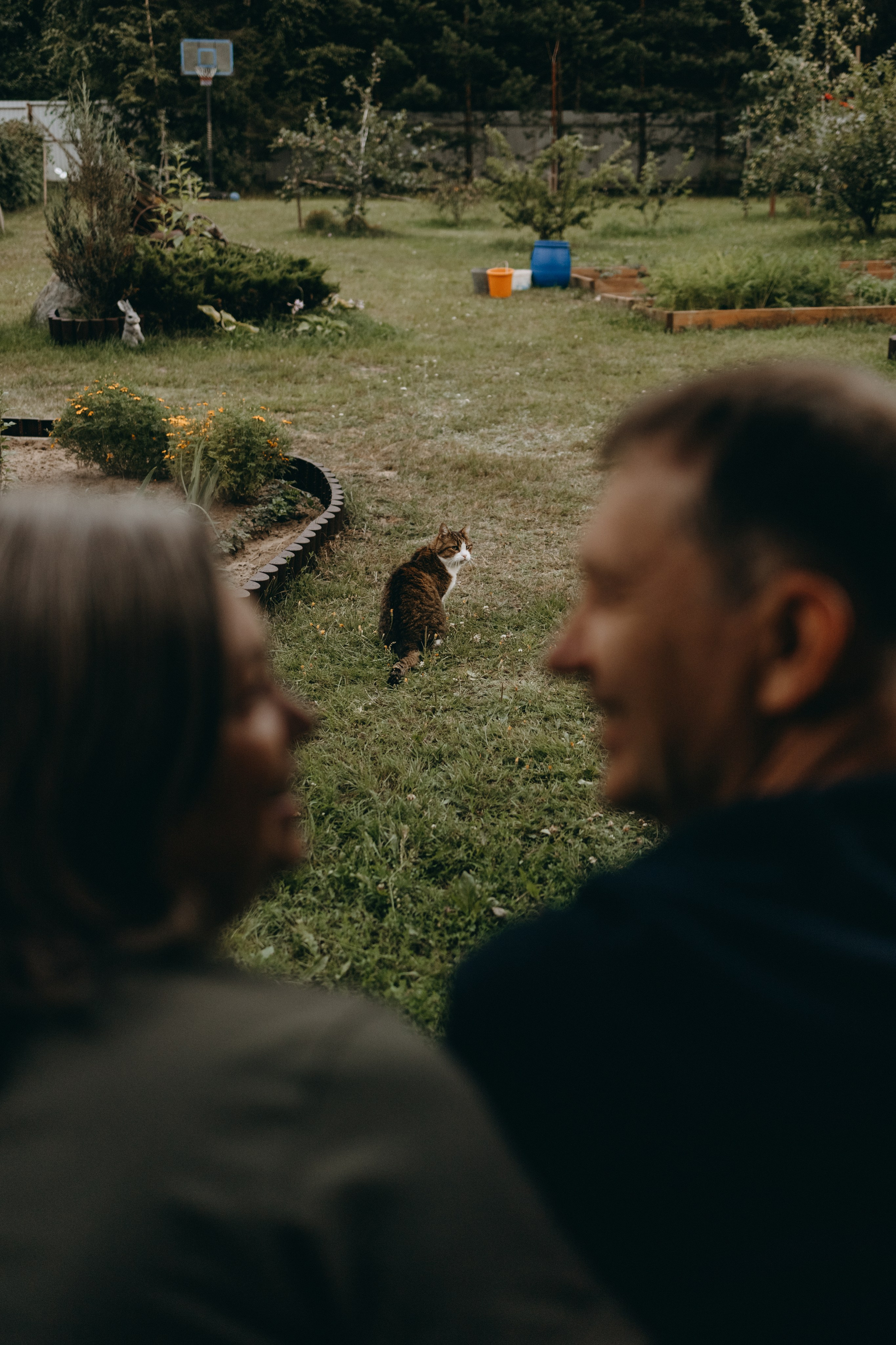 Дом у реки. Фотограф — Анималист | Санкт-Петербург