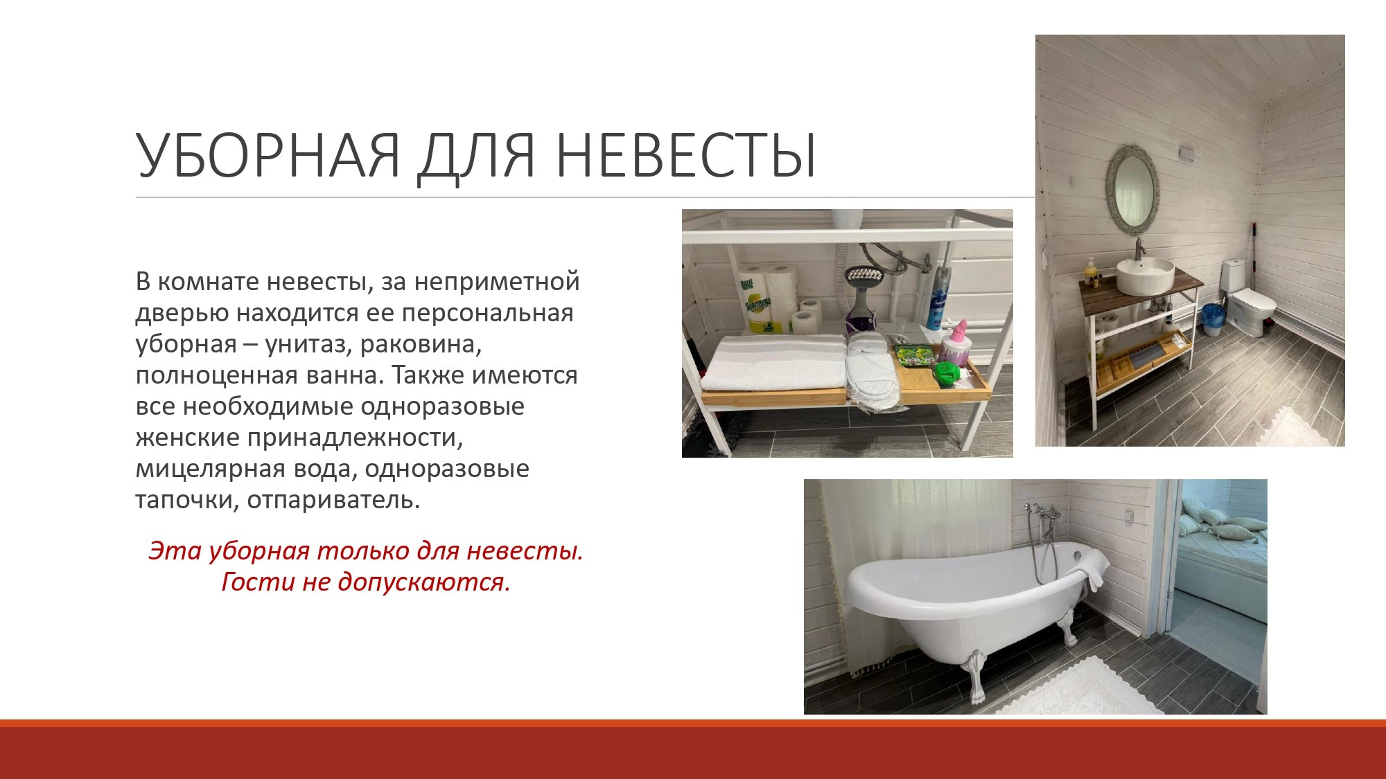 Рябина комнаты