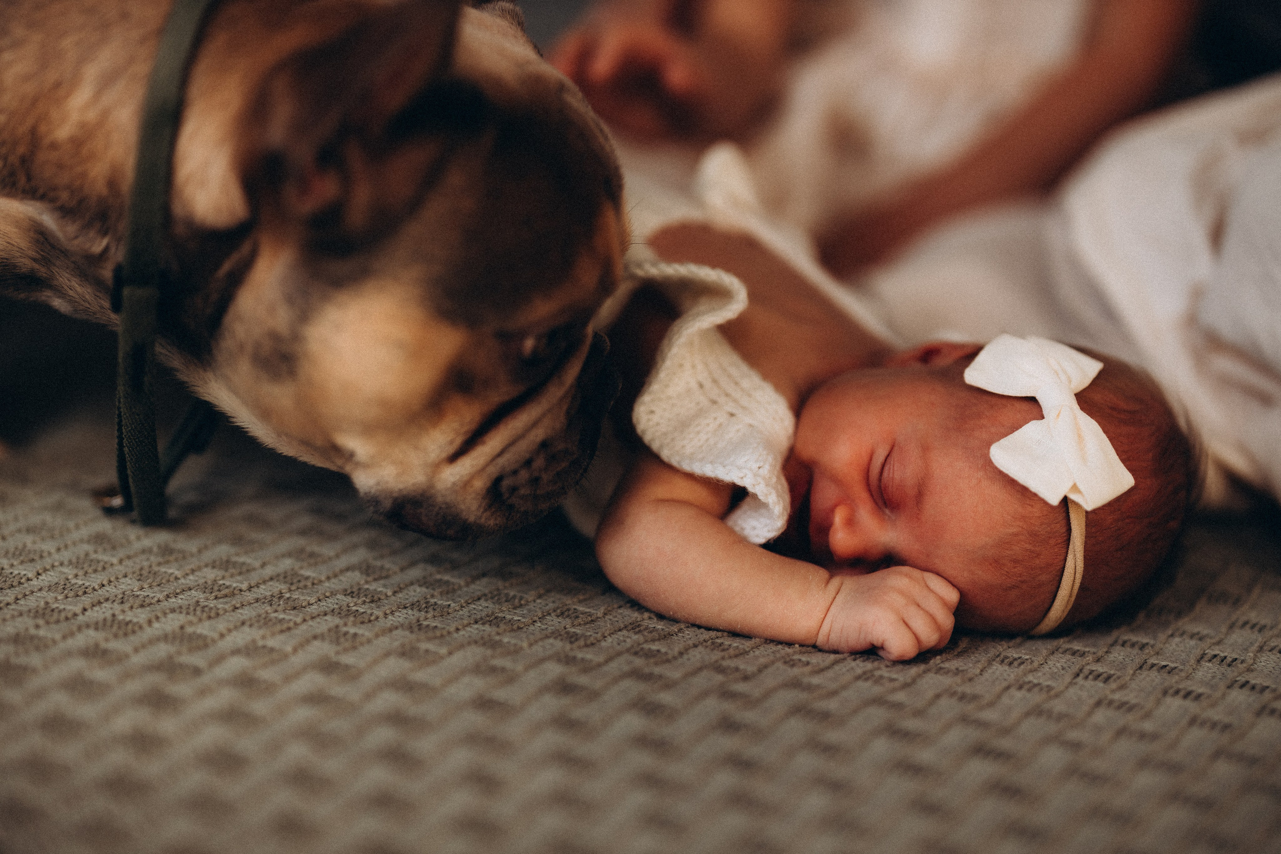 Александра 2 недели. Евгения Пелипас