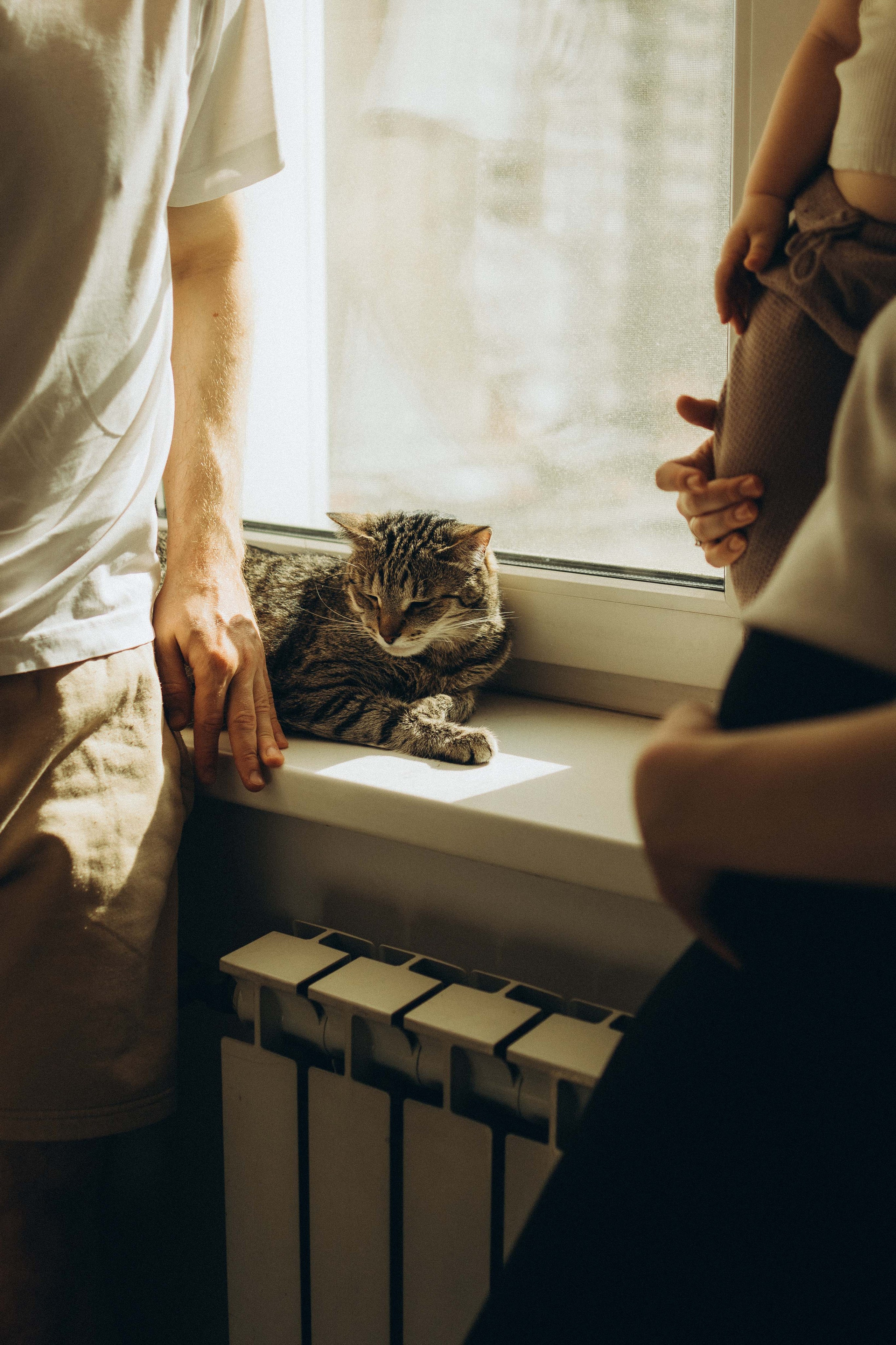 Семейная / Домашняя. Анна Лобастова | Фотограф для особенных мгновений ❤ Москва Люберцы